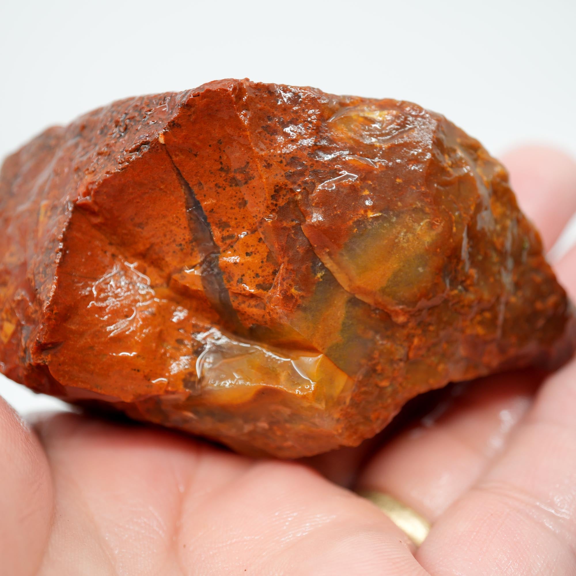Carey Plume Agate Rough - Bright Red with Druzy Void and Plume Potential
