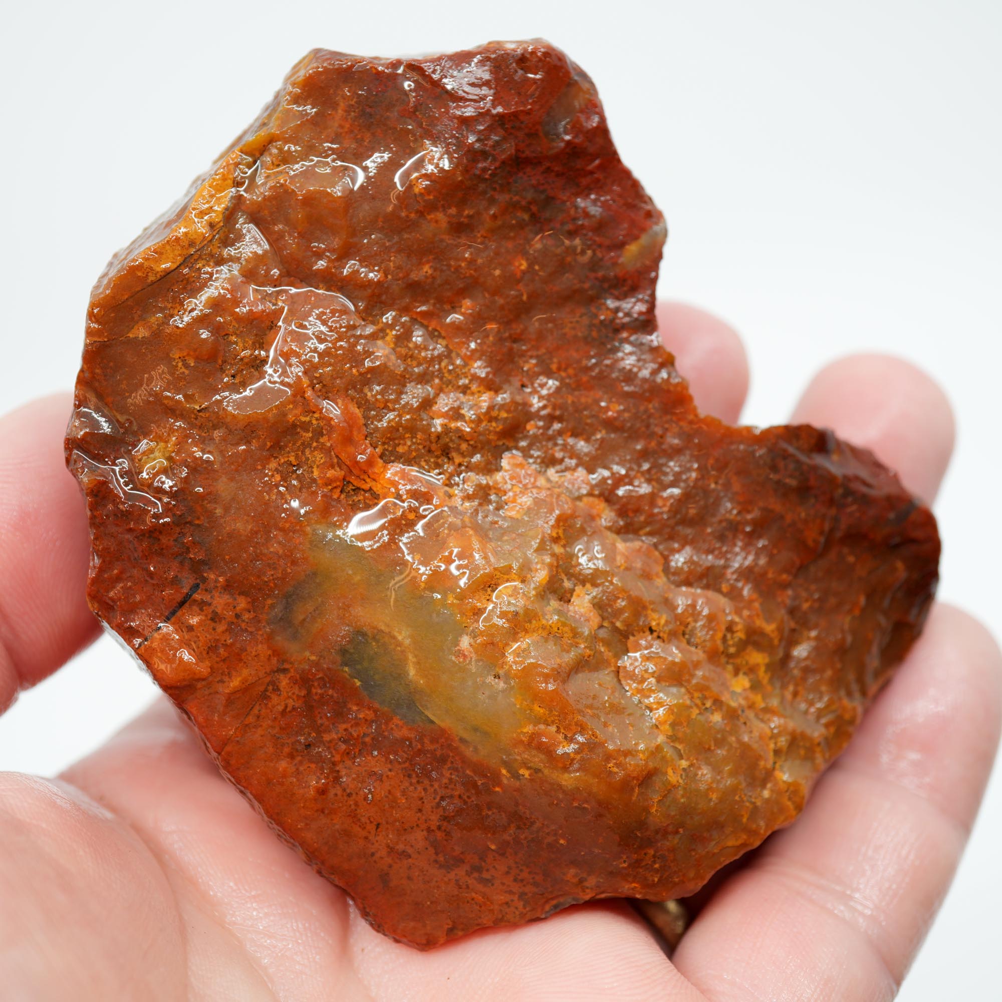 Carey Plume Agate Rough - Bright Red with Druzy Void and Plume Potential