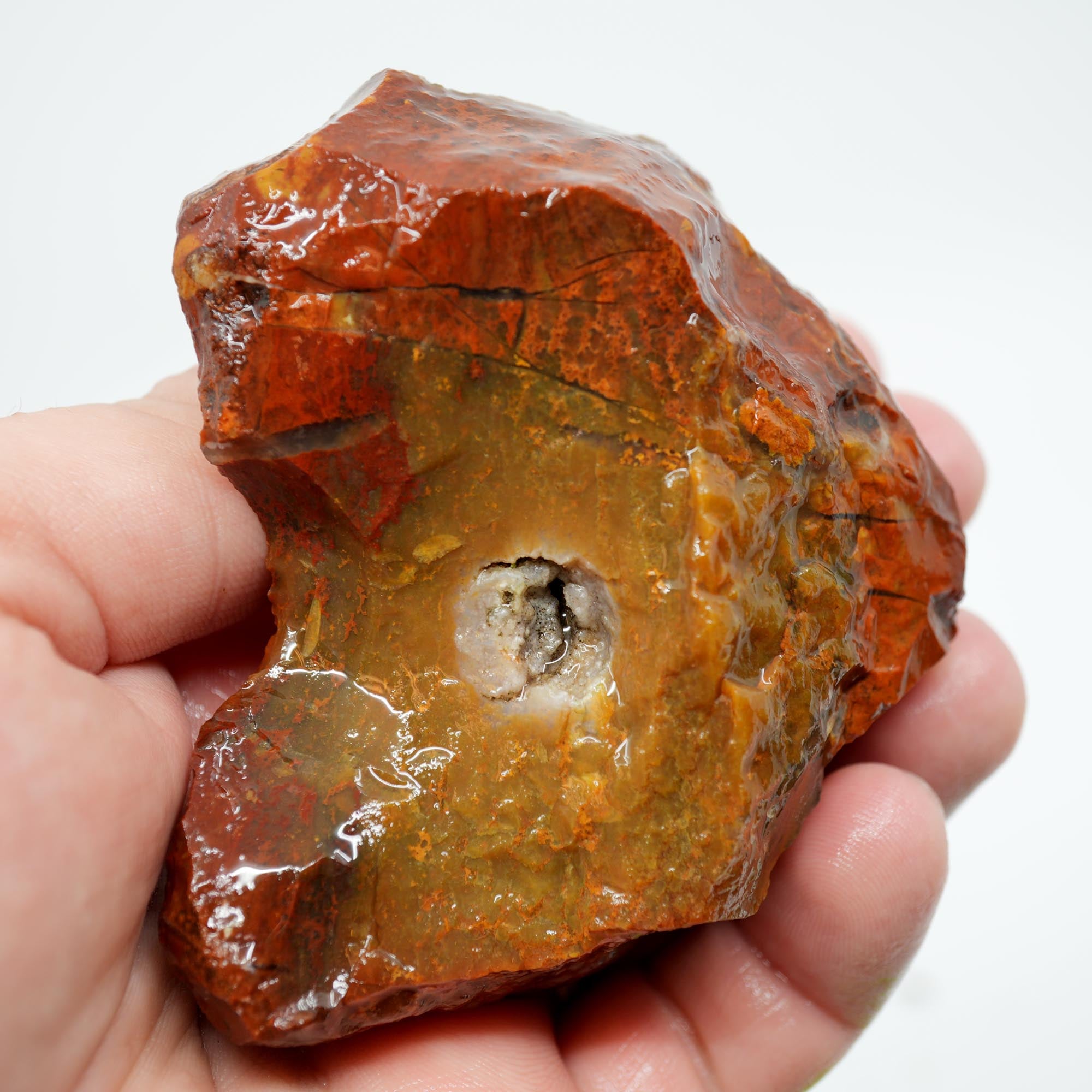 Carey Plume Agate Rough - Bright Red with Druzy Void and Plume Potential