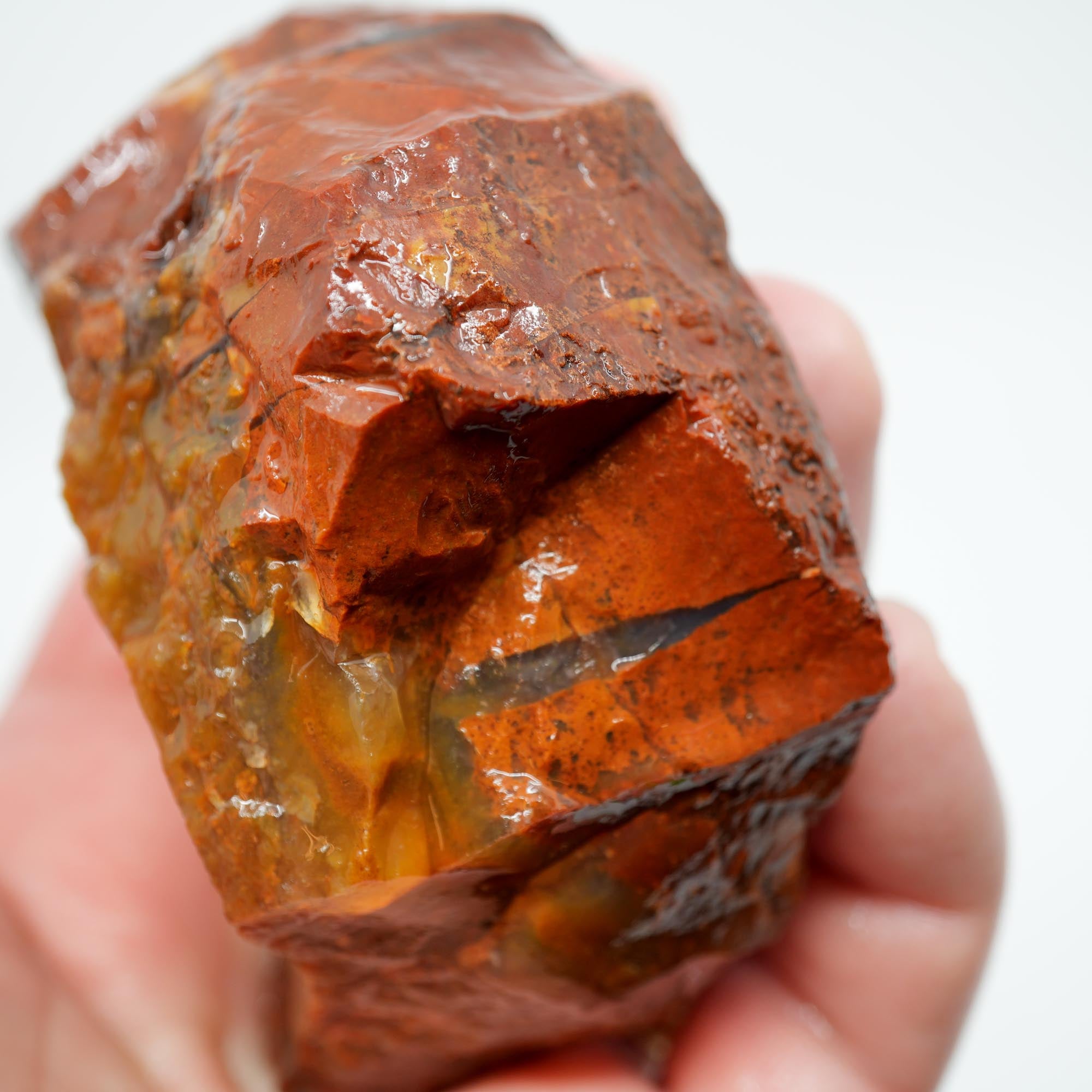 Carey Plume Agate Rough - Bright Red with Druzy Void and Plume Potential