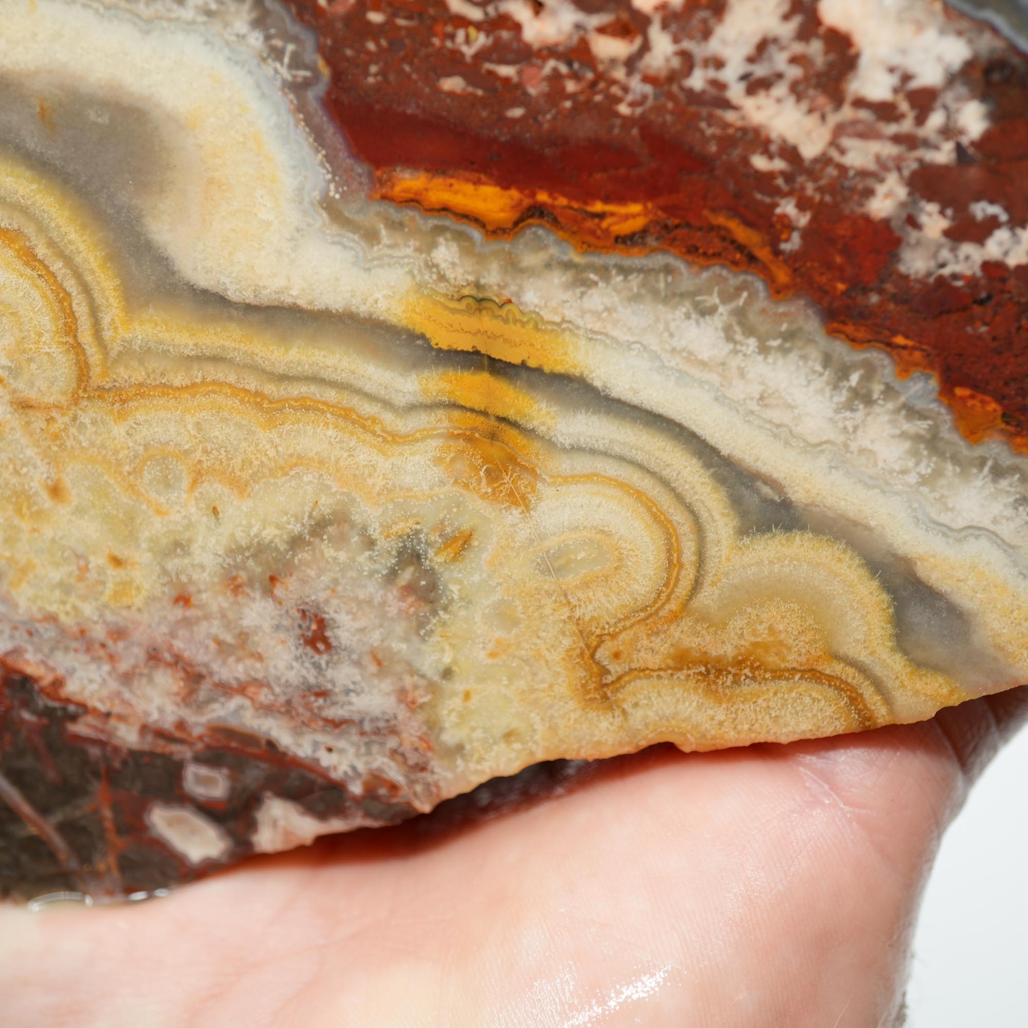 Flower of Peach Lace Agate Cut and Proven - Light Peach Smoky Block