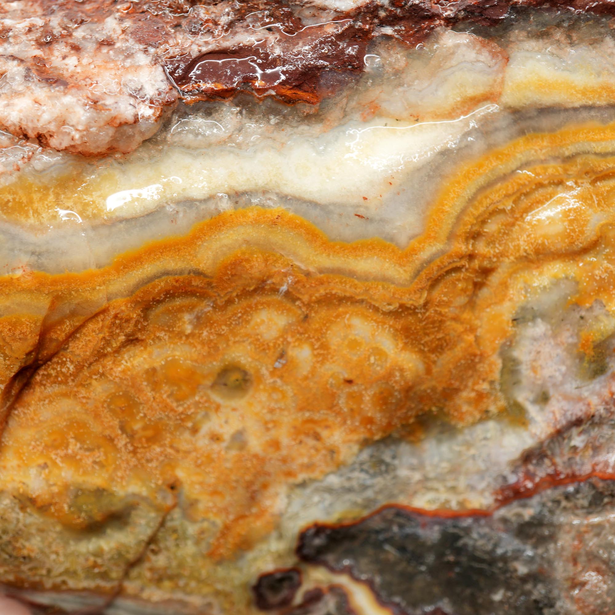 Flower of Peach Lace Agate Cut and Proven - Light Peach Smoky Block