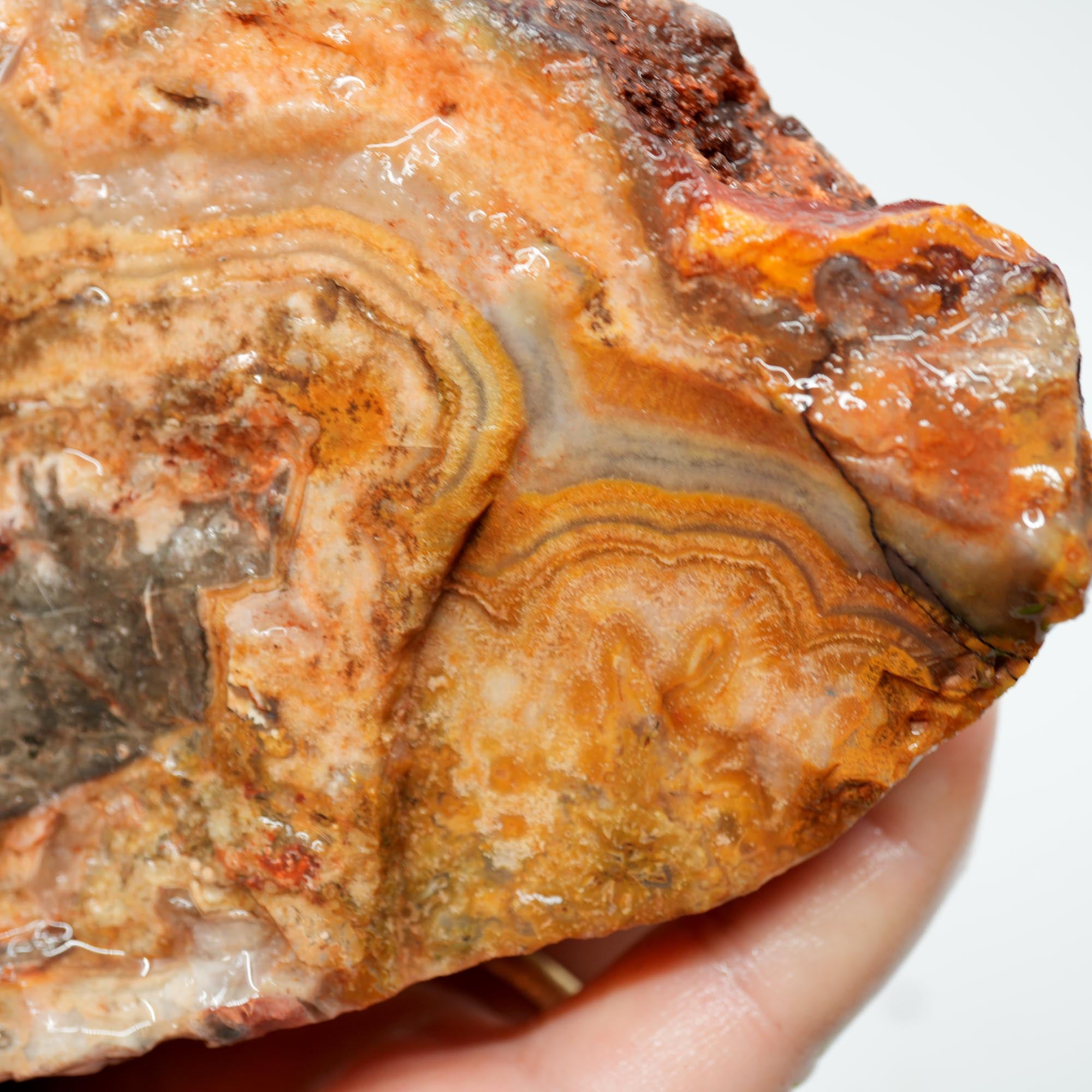 Flower of Peach Lace Agate Cut and Proven - Light Peach Smoky Block