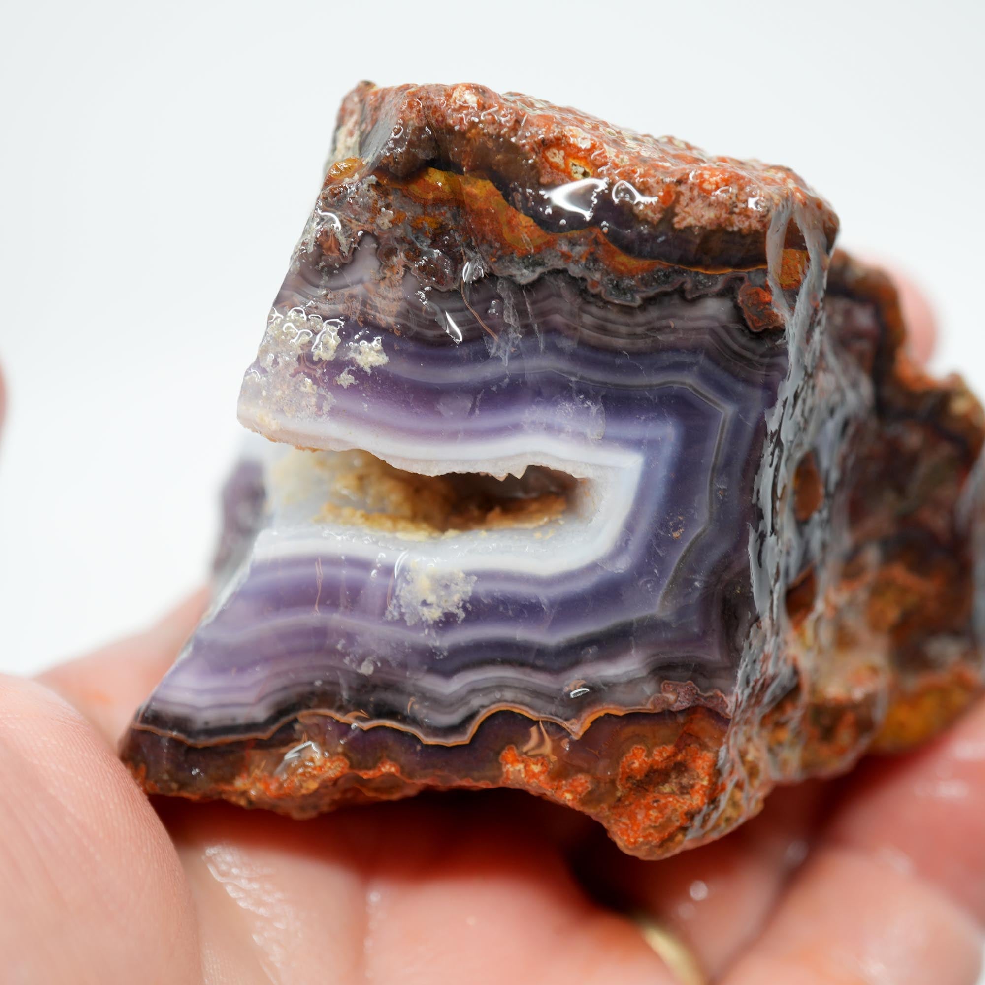 Purple Passion Agate Rough - High-Grade Deep Blue Purple Fortification