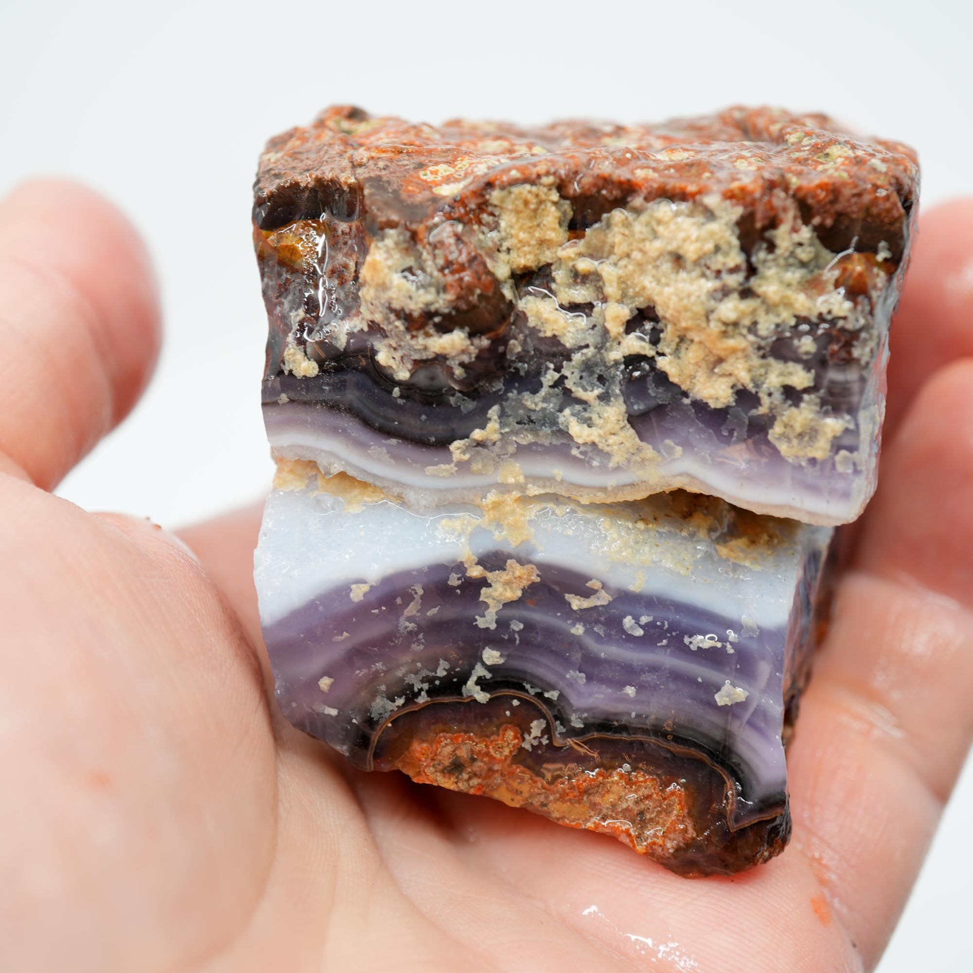 Purple Passion Agate Rough - High-Grade Deep Blue Purple Fortification