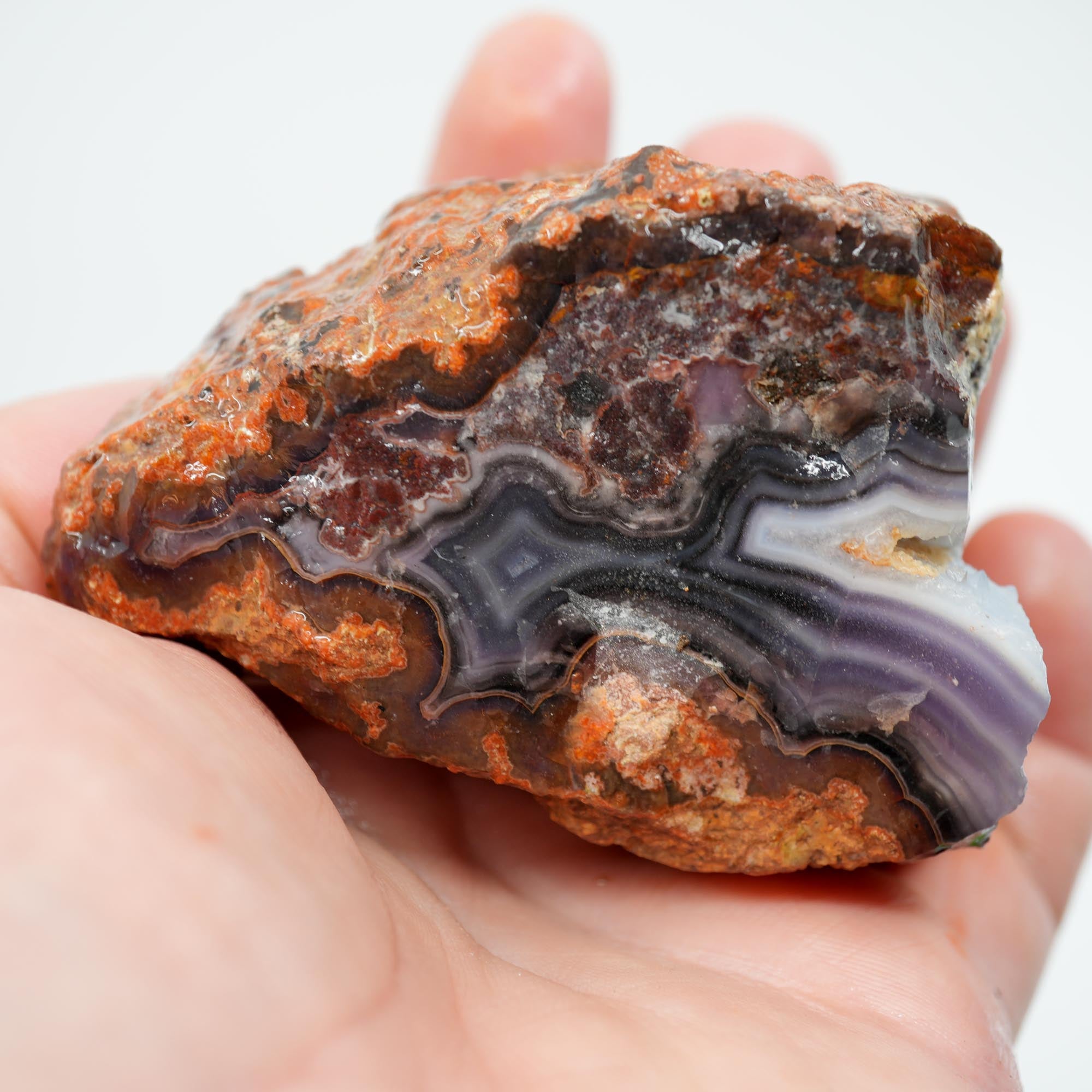 Purple Passion Agate Rough - High-Grade Deep Blue Purple Fortification