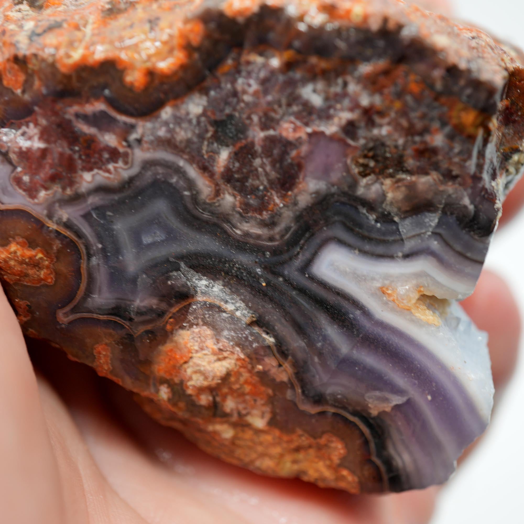 Purple Passion Agate Rough - High-Grade Deep Blue Purple Fortification