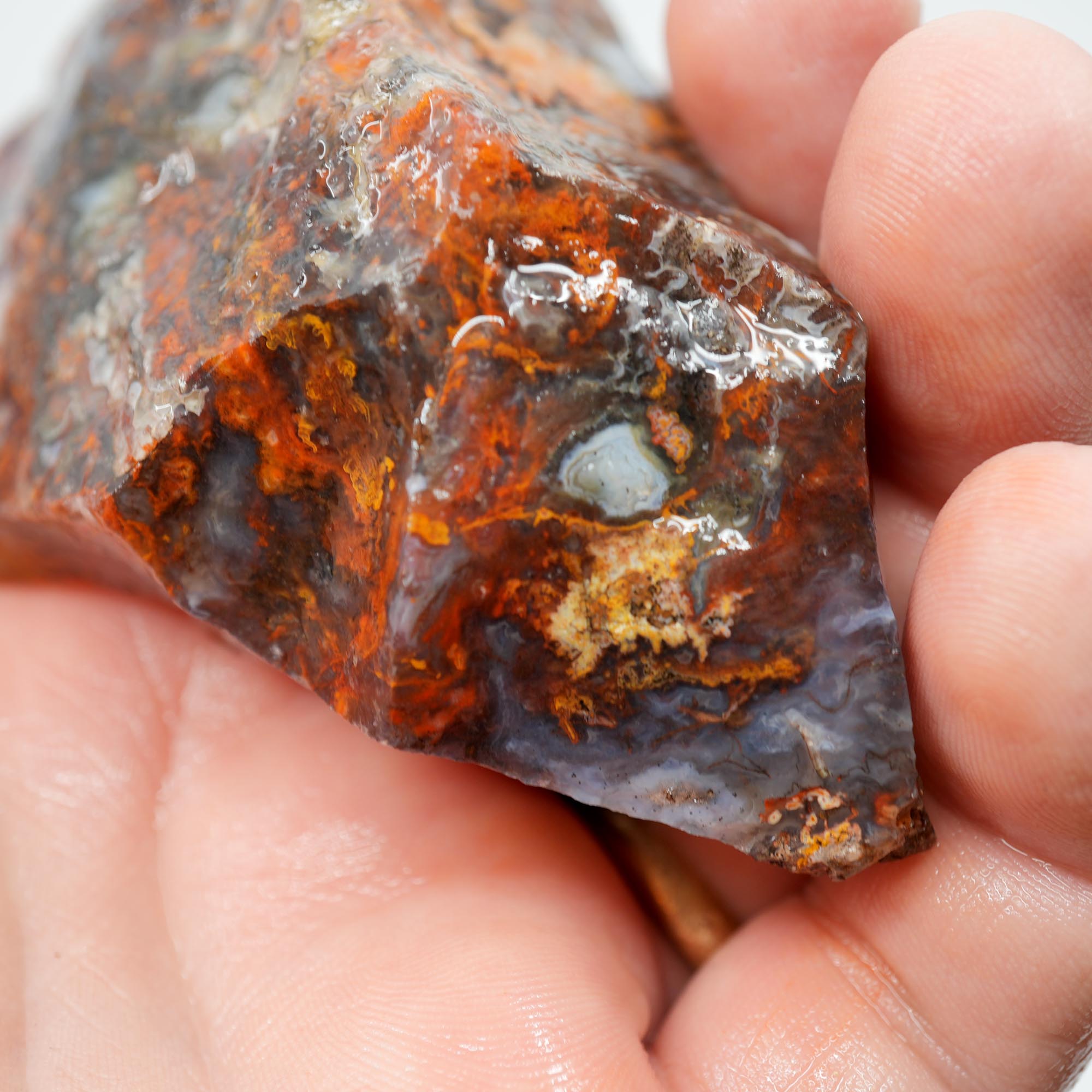 San Carlos Agate Rough - High-Grade Bright Red Orange Blue Glossy