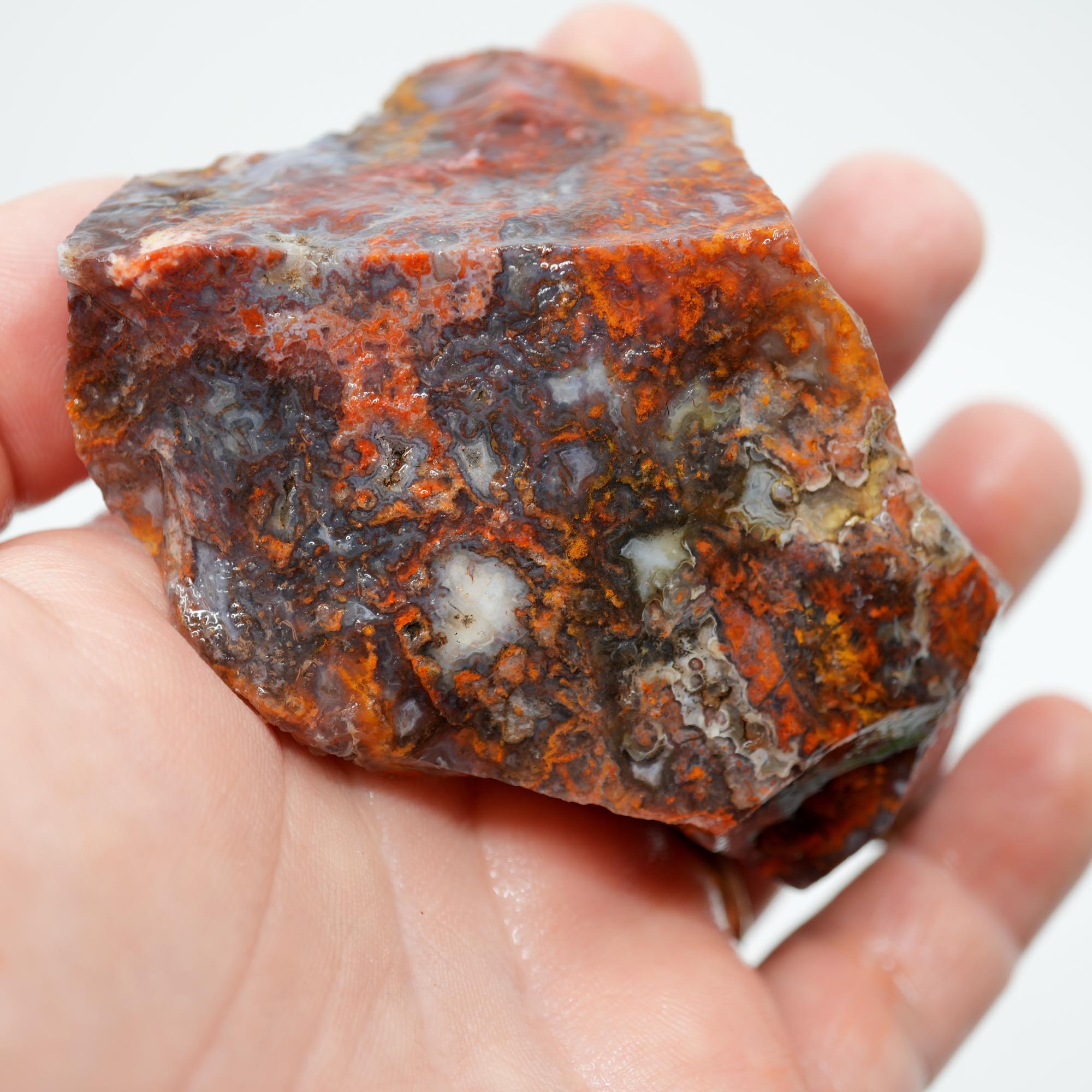 San Carlos Agate Rough - High-Grade Bright Red Orange Blue Glossy
