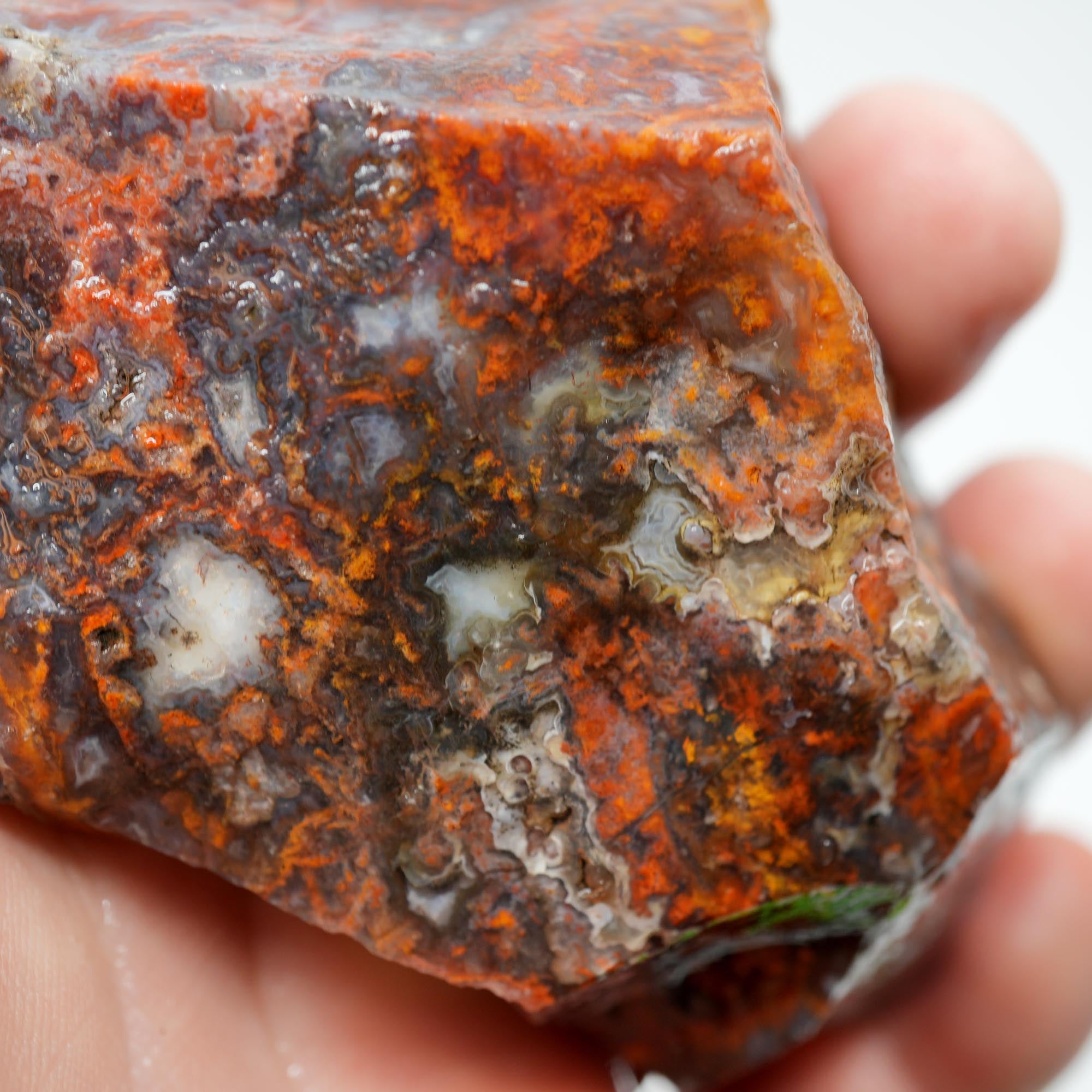 San Carlos Agate Rough - High-Grade Bright Red Orange Blue Glossy