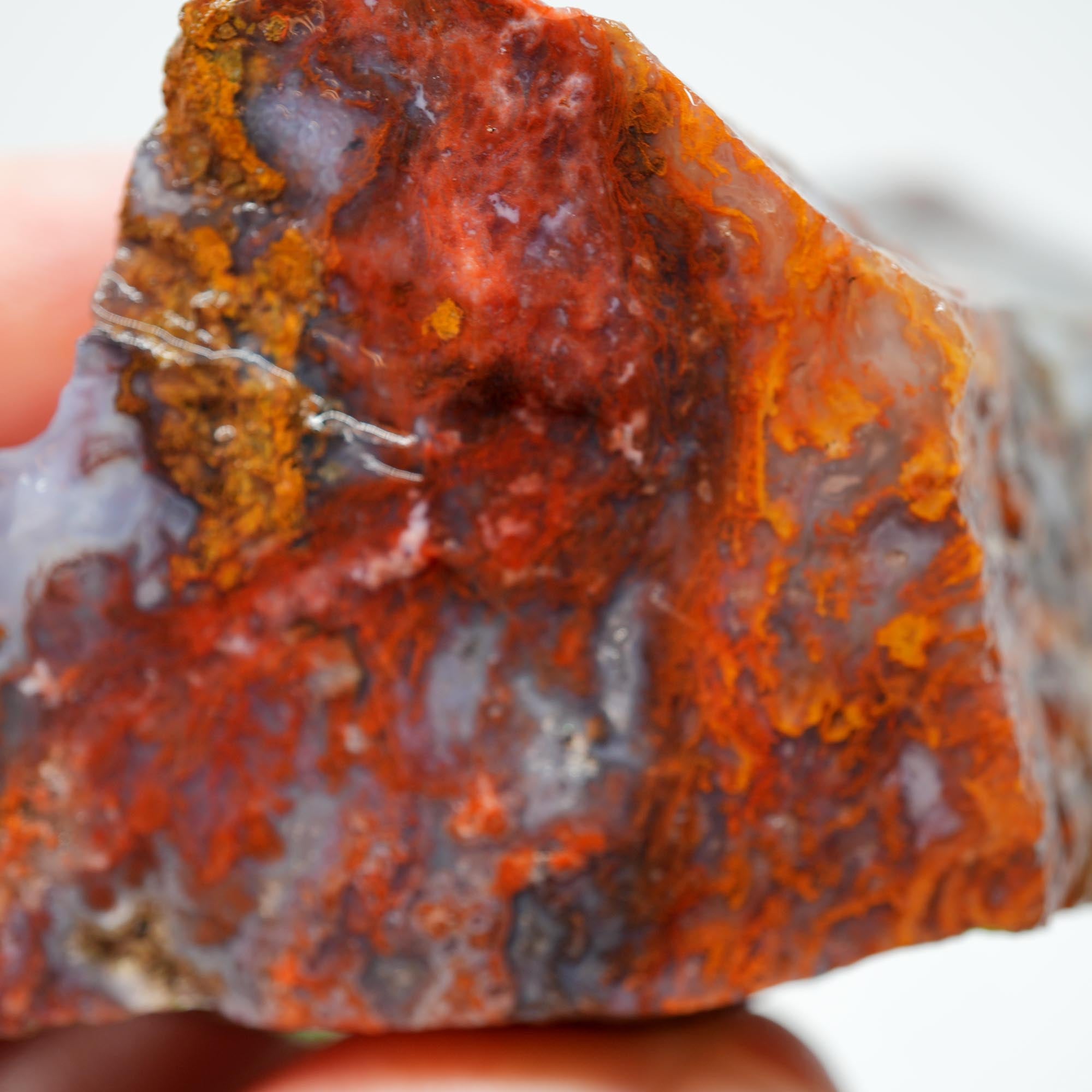 San Carlos Agate Rough - High-Grade Bright Red Orange Blue Glossy