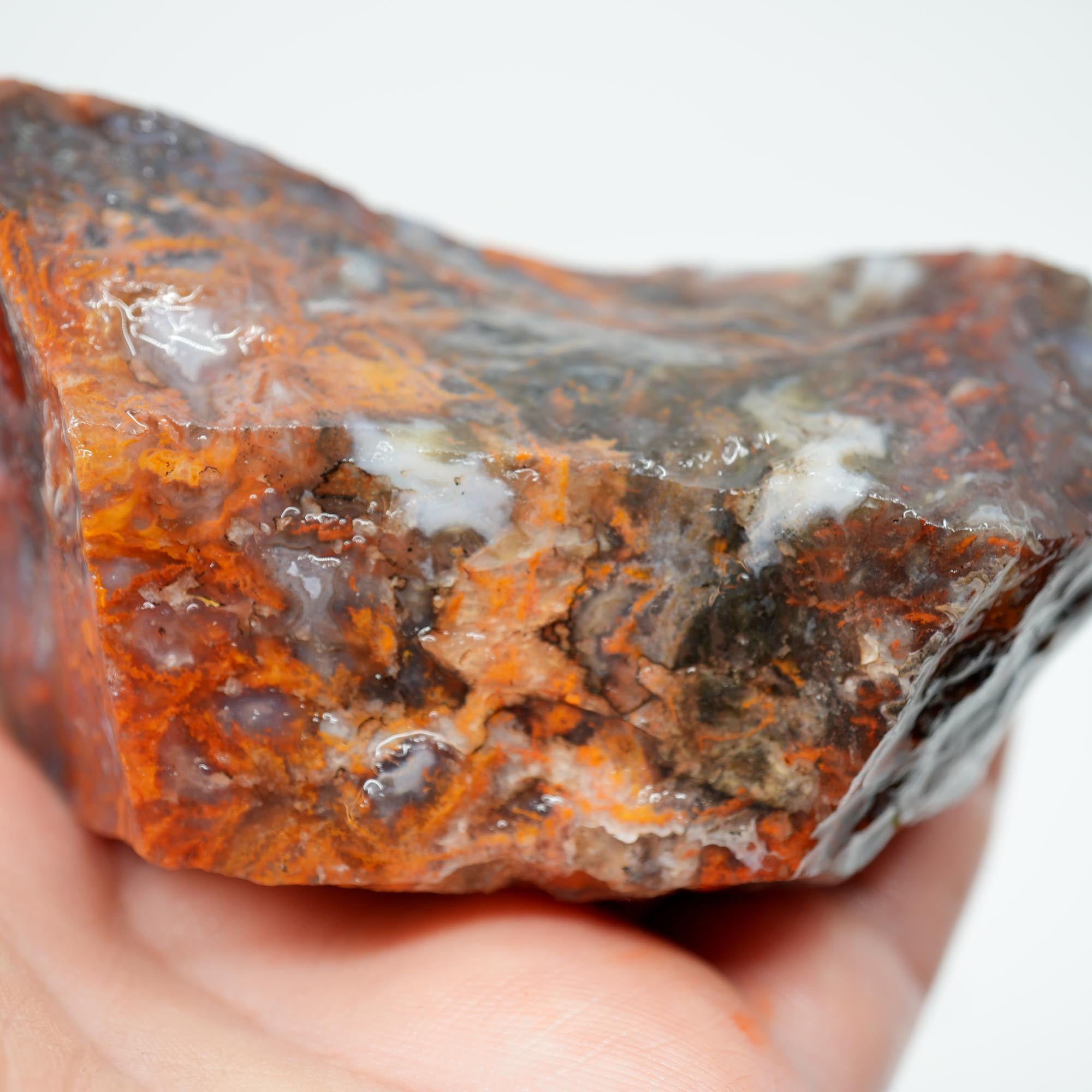 San Carlos Agate Rough - High-Grade Bright Red Orange Blue Glossy