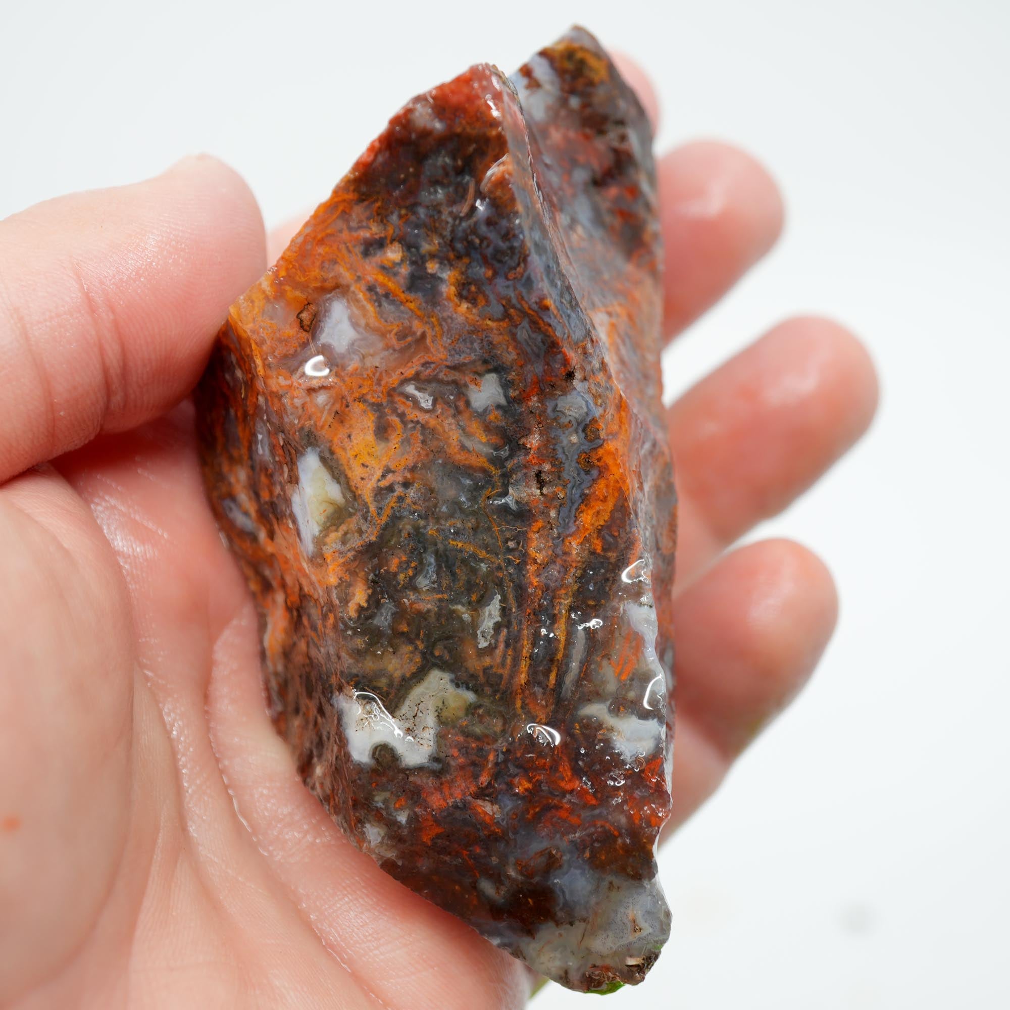 San Carlos Agate Rough - High-Grade Bright Red Orange Blue Glossy