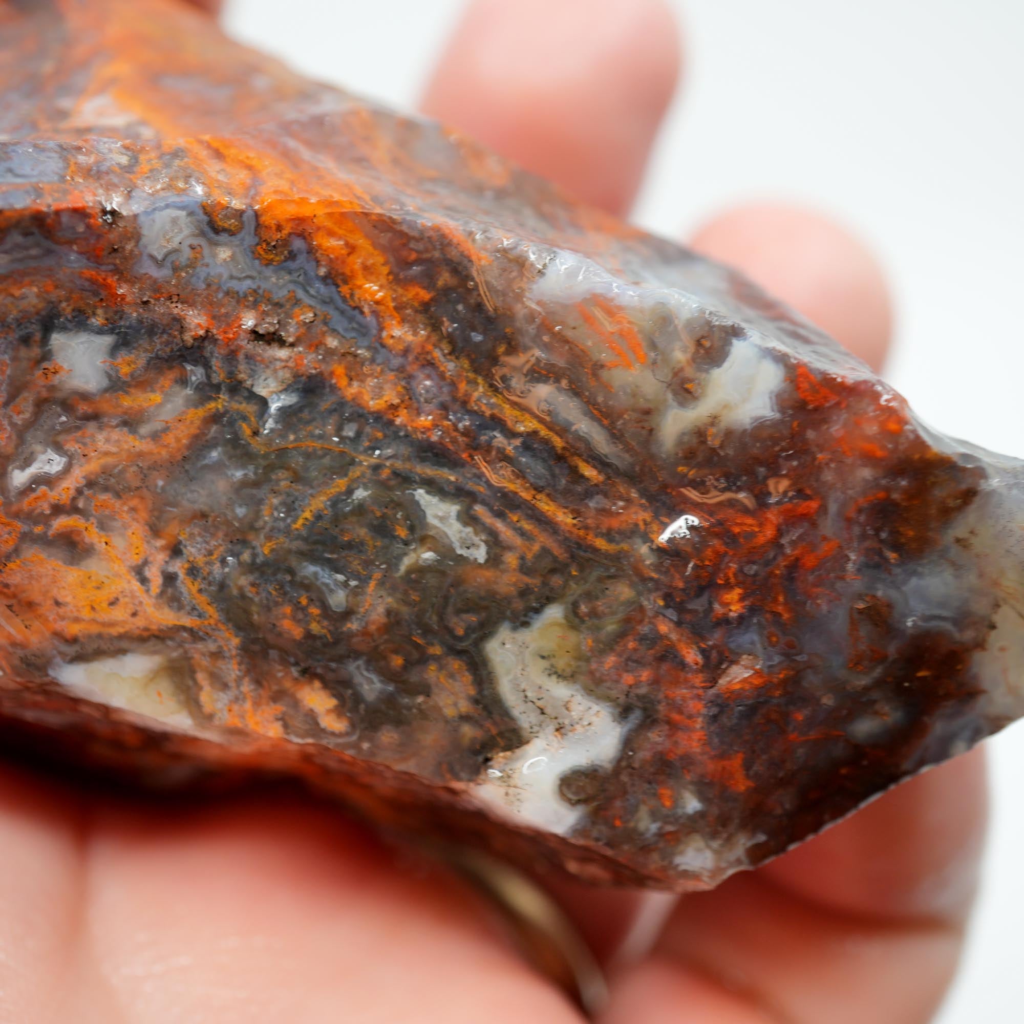 San Carlos Agate Rough - High-Grade Bright Red Orange Blue Glossy