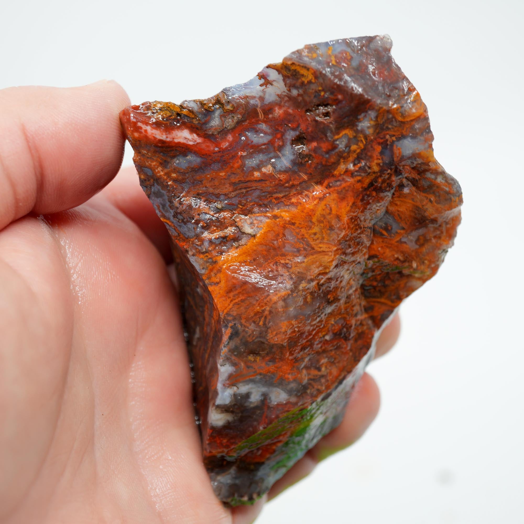 San Carlos Agate Rough - High-Grade Bright Red Orange Blue Glossy