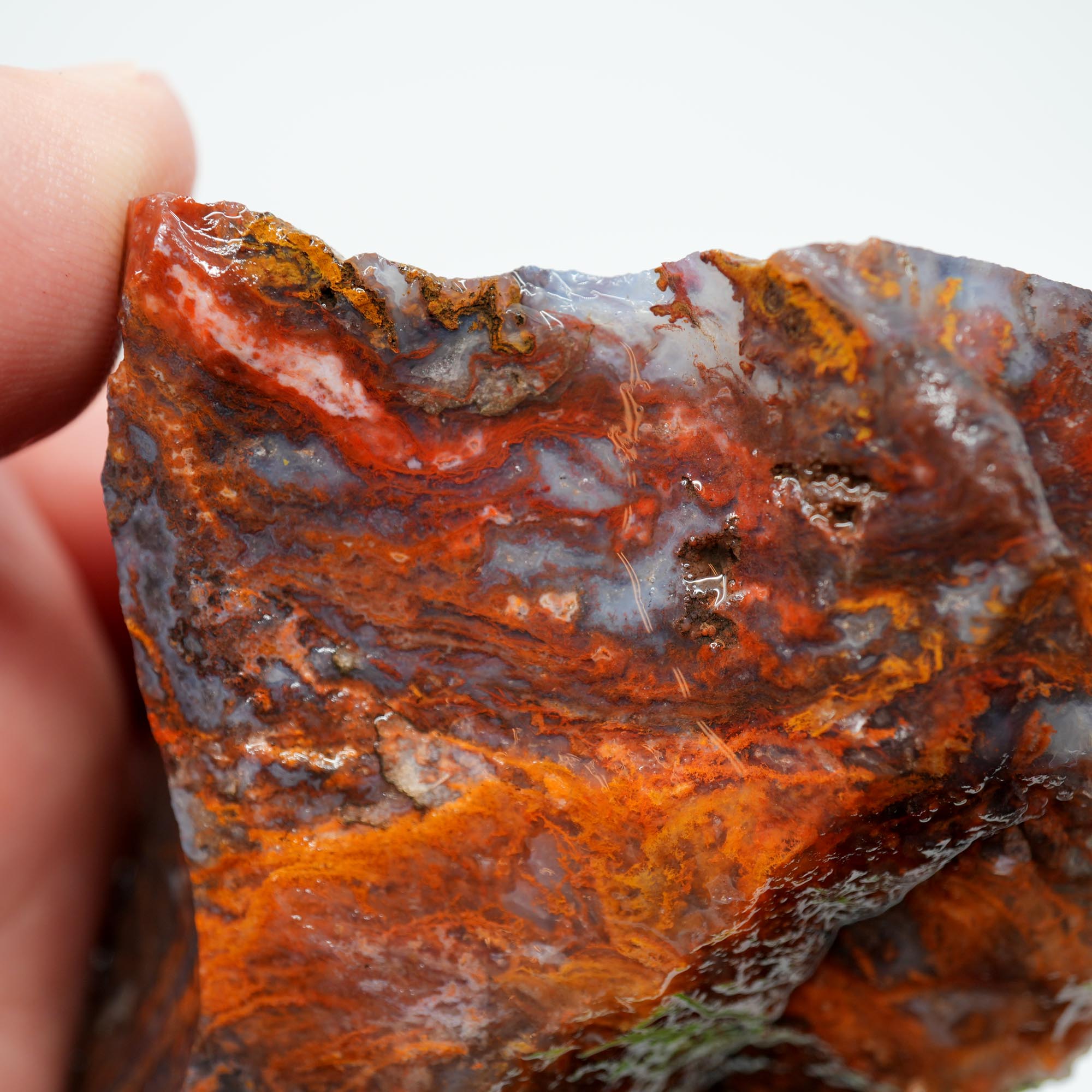 San Carlos Agate Rough - High-Grade Bright Red Orange Blue Glossy