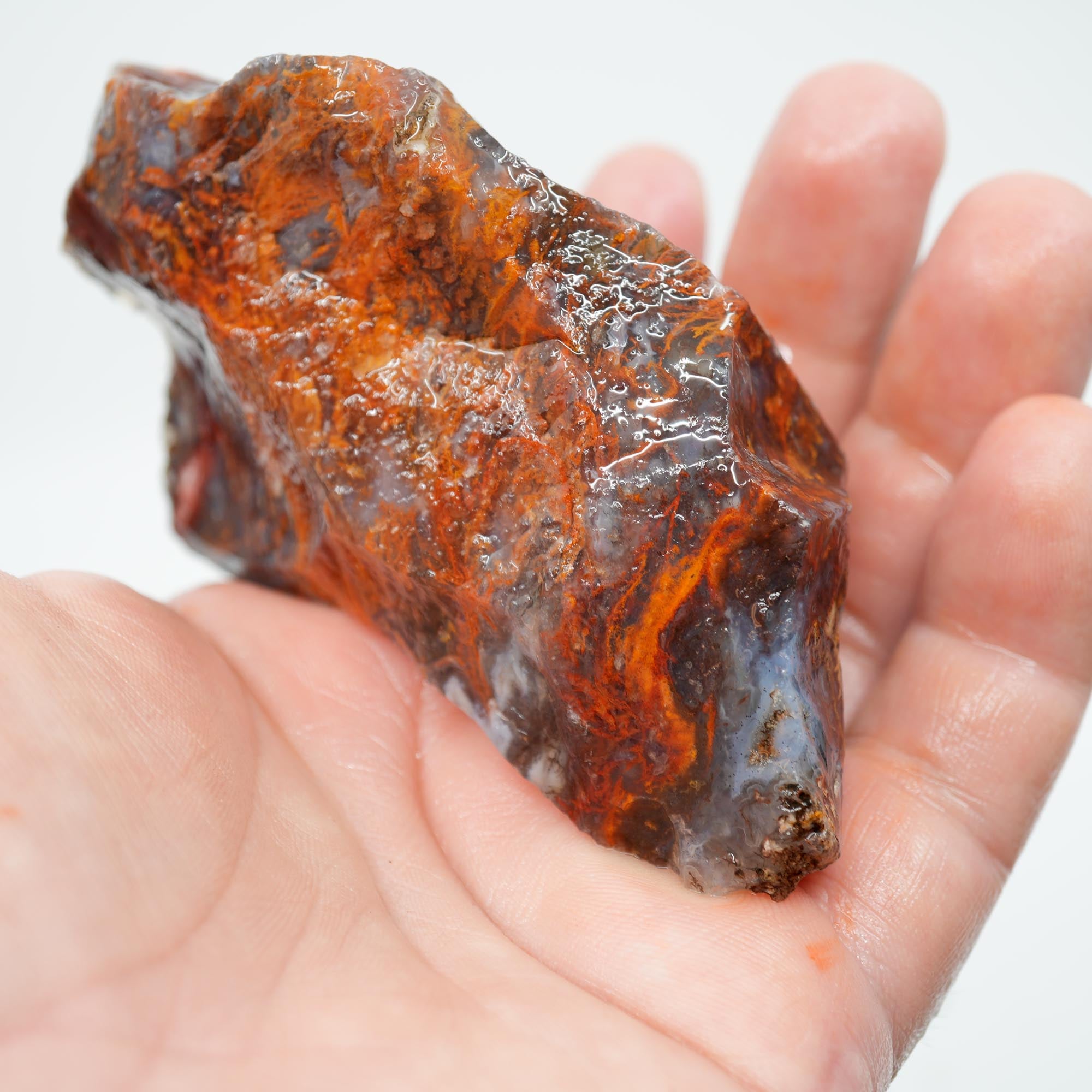 San Carlos Agate Rough - High-Grade Bright Red Orange Blue Glossy