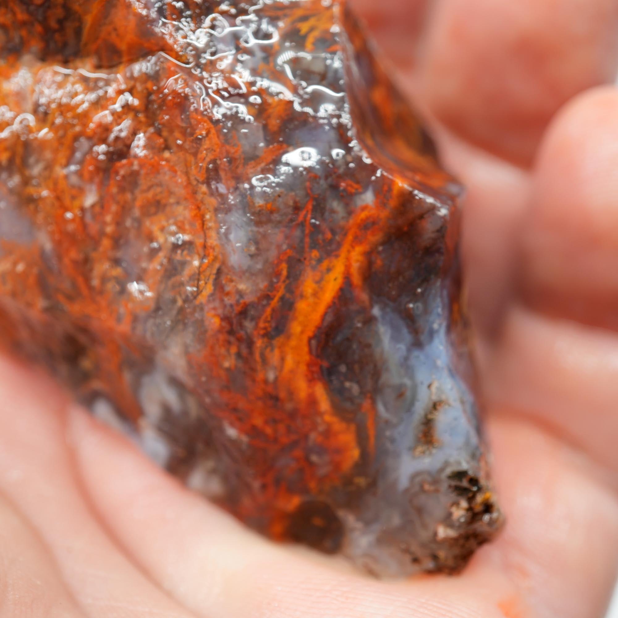 San Carlos Agate Rough - High-Grade Bright Red Orange Blue Glossy