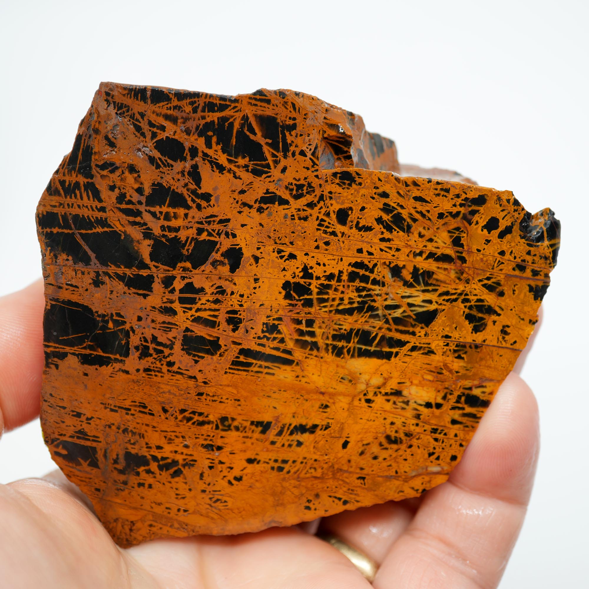 Pilbara Jasper Rough Cut and Proven - Coffee Cream Brecciated Block