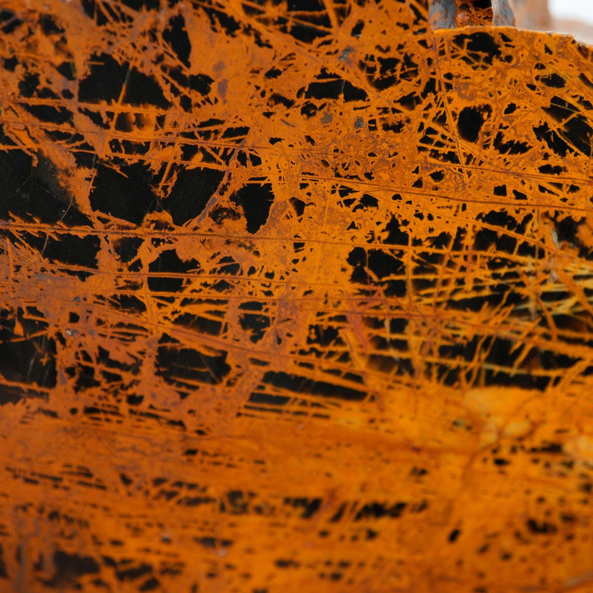 Pilbara Jasper Rough Cut and Proven - Coffee Cream Brecciated Block