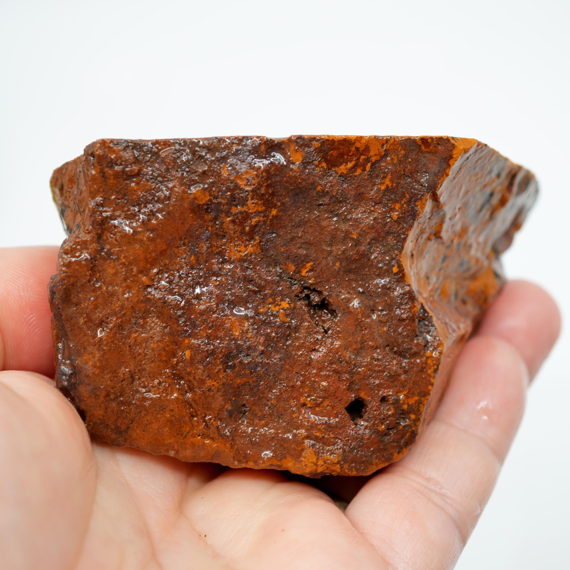 Pilbara Jasper Rough Cut and Proven - Coffee Cream Brecciated Block