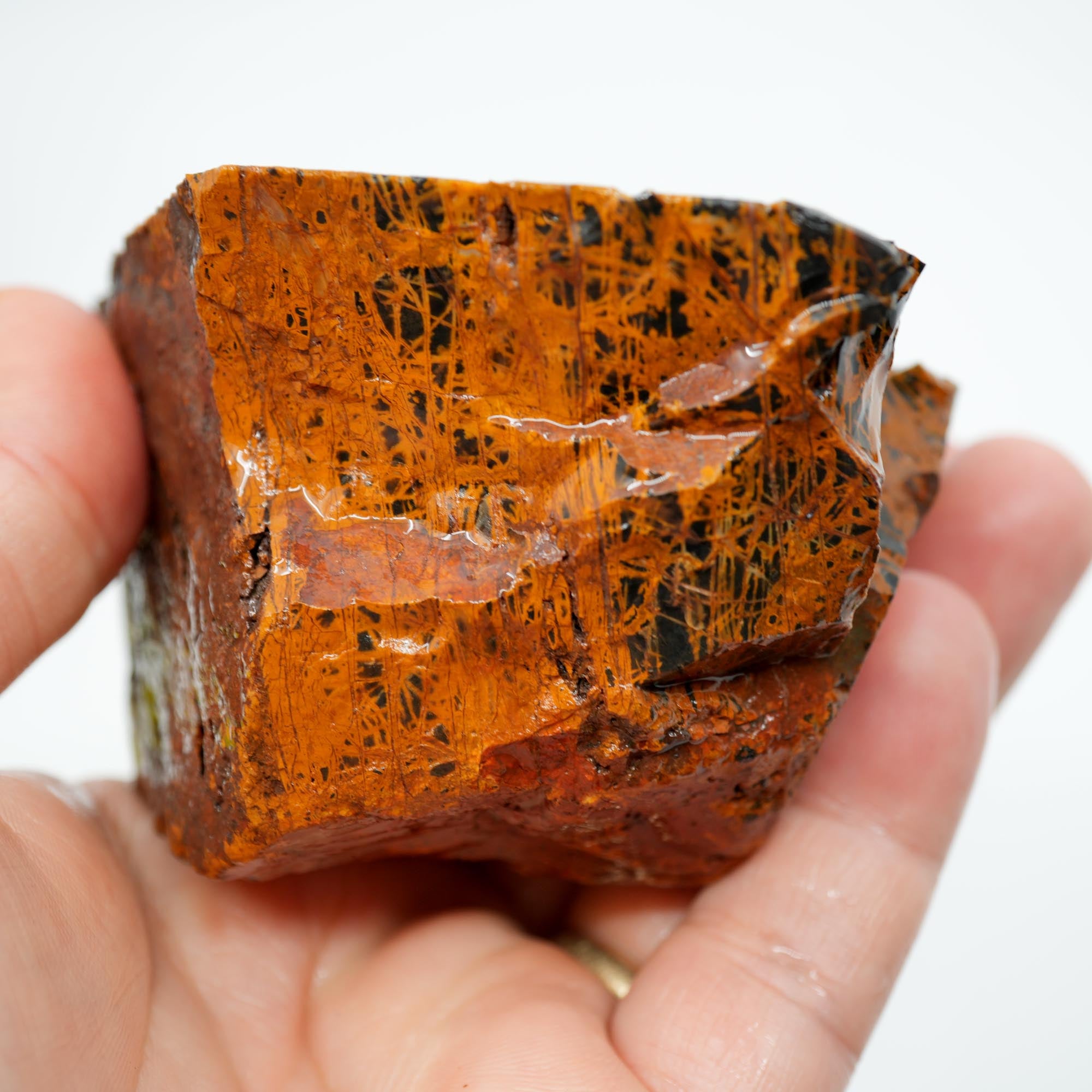 Pilbara Jasper Rough Cut and Proven - Coffee Cream Brecciated Block