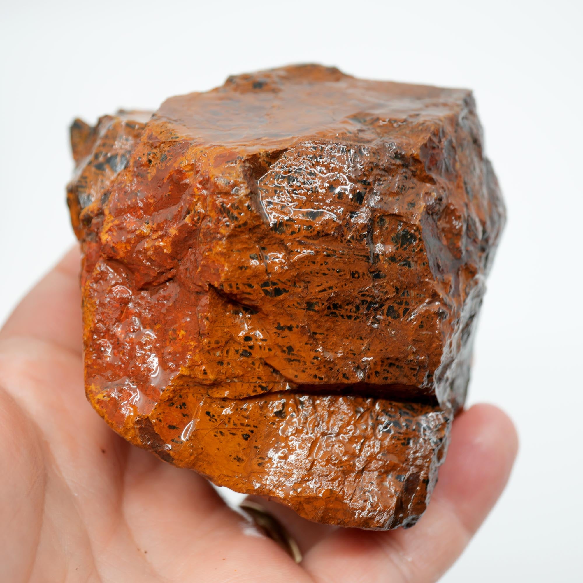 Pilbara Jasper Rough Cut and Proven - Coffee Cream Brecciated Block