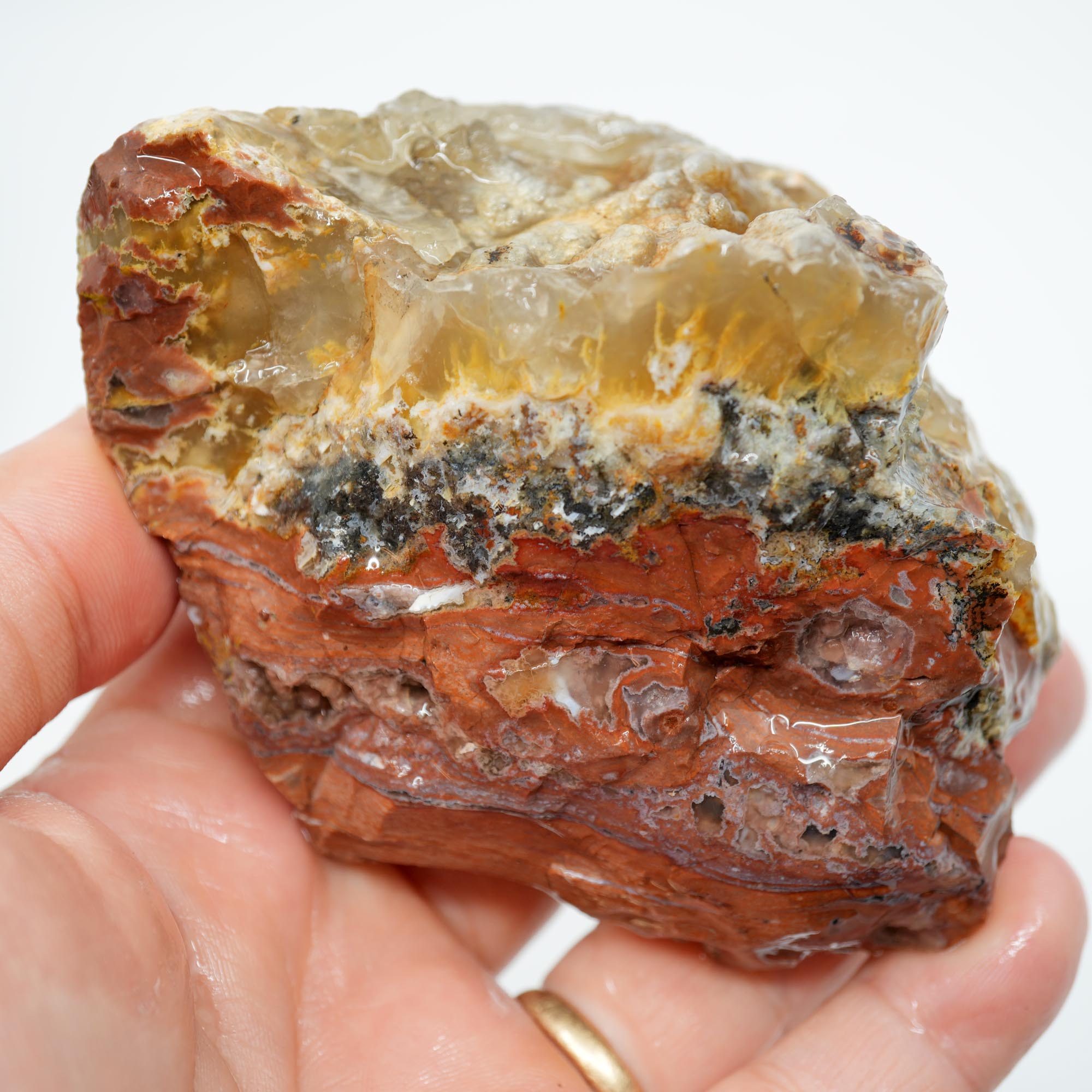 Eagle Rock Plume Agate Rough - Black Marcasite Plume with Botryoidal