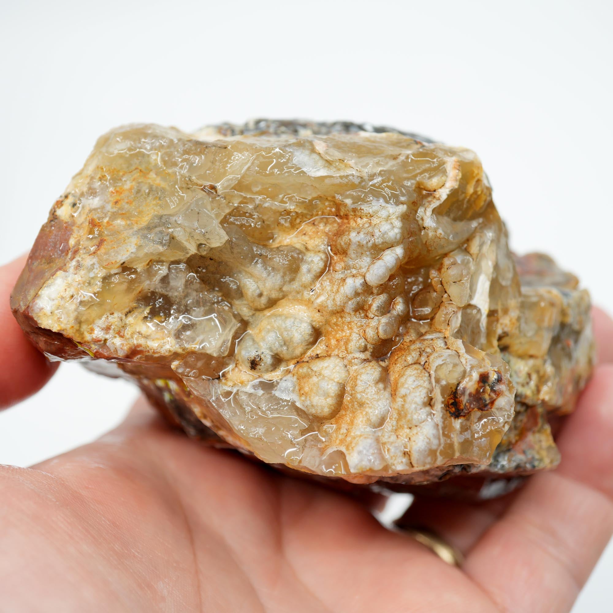Eagle Rock Plume Agate Rough - Black Marcasite Plume with Botryoidal
