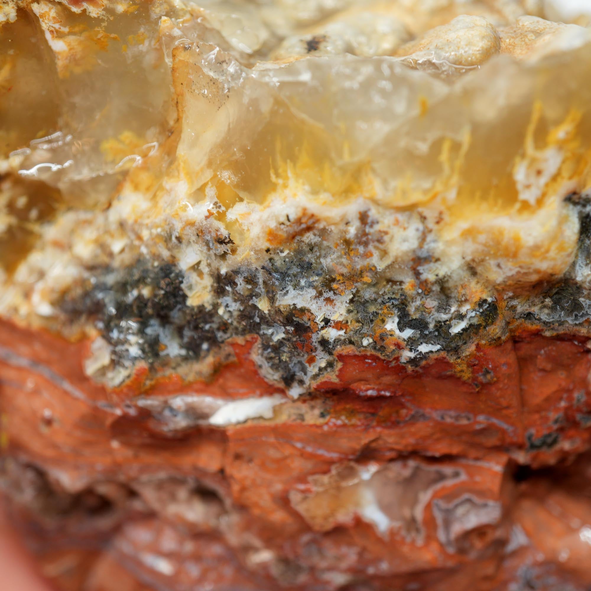 Eagle Rock Plume Agate Rough - Black Marcasite Plume with Botryoidal