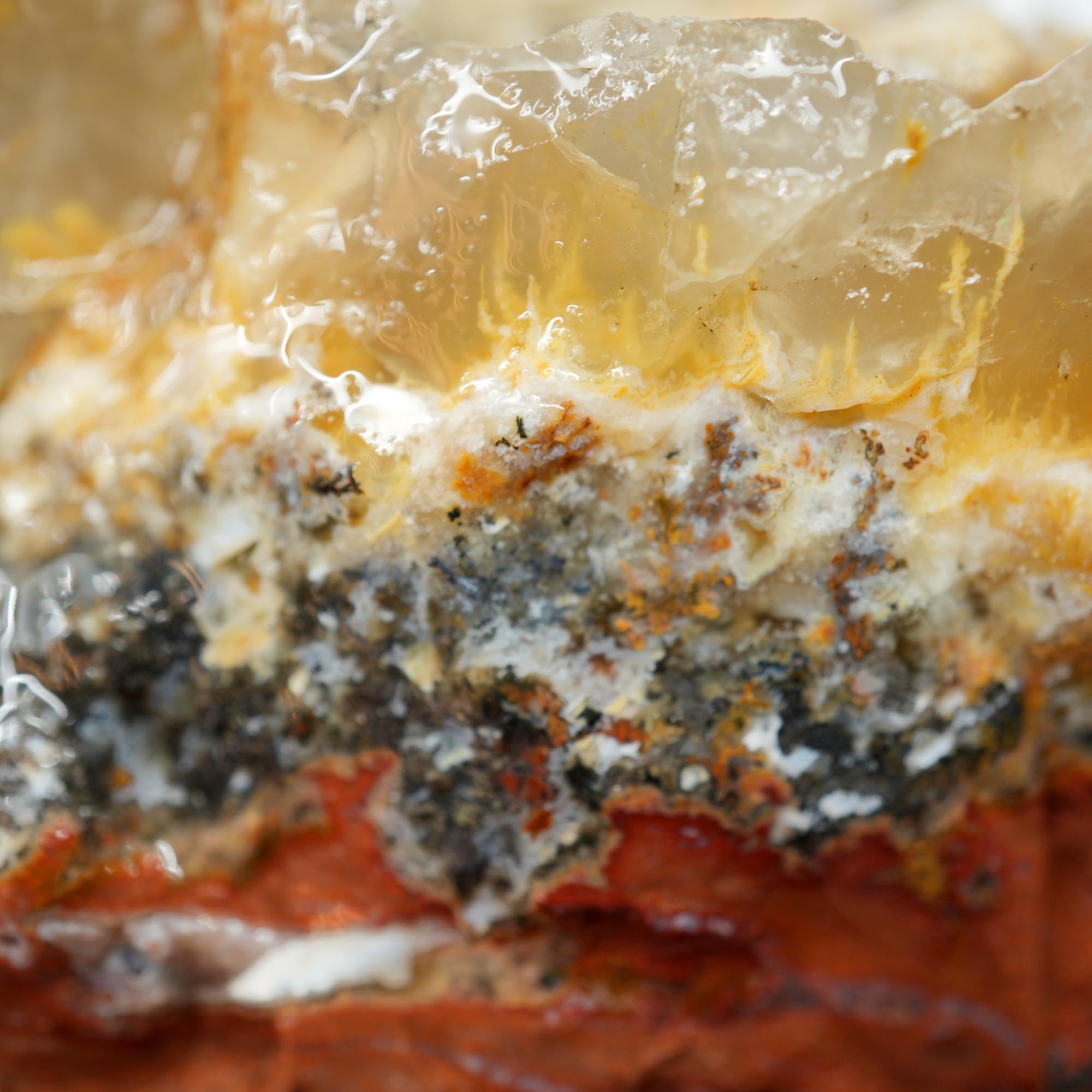 Eagle Rock Plume Agate Rough - Black Marcasite Plume with Botryoidal
