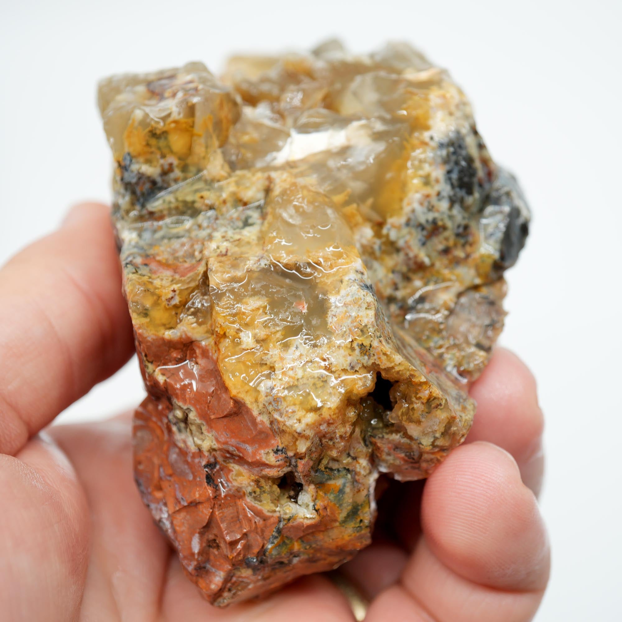 Eagle Rock Plume Agate Rough - Black Marcasite Plume with Botryoidal