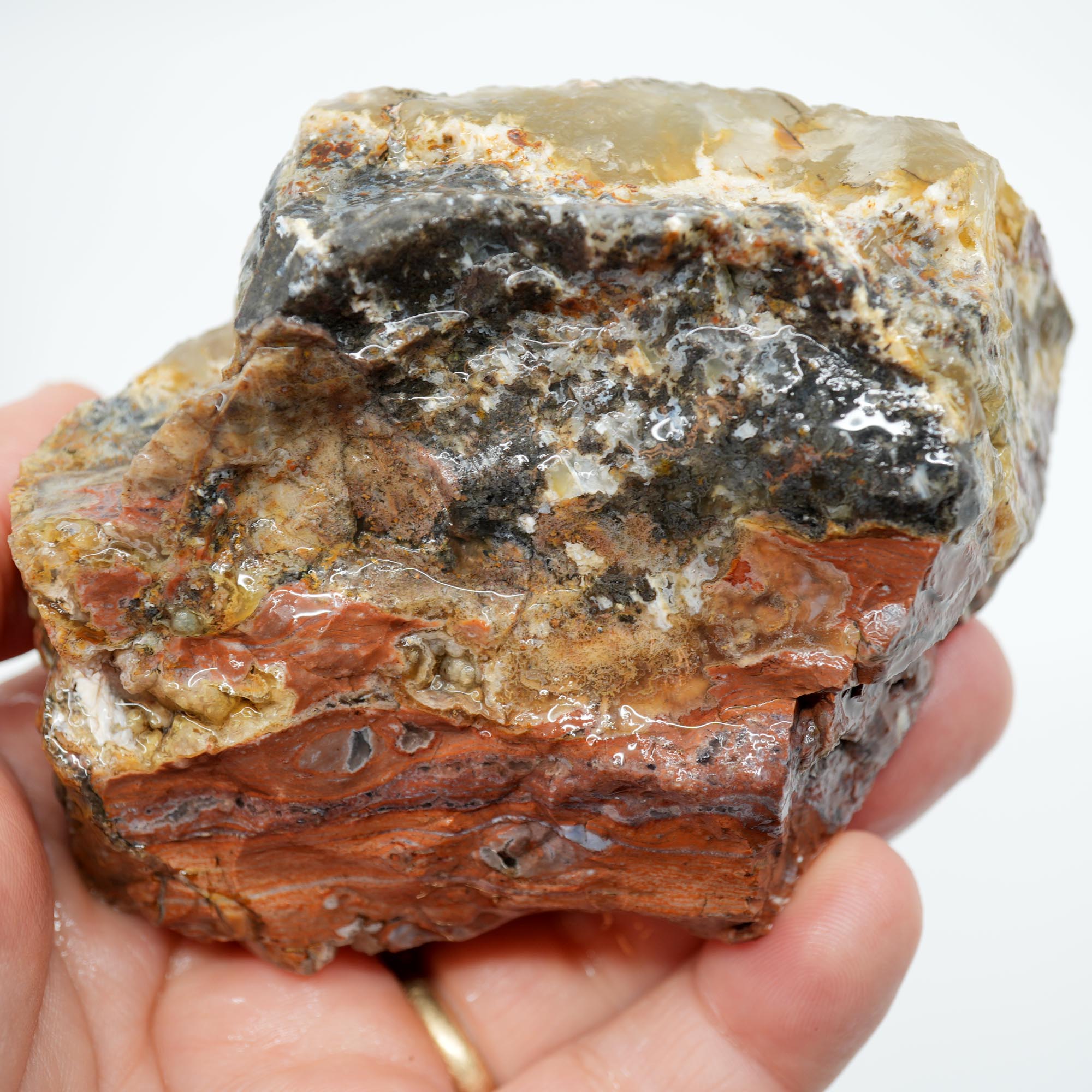 Eagle Rock Plume Agate Rough - Black Marcasite Plume with Botryoidal