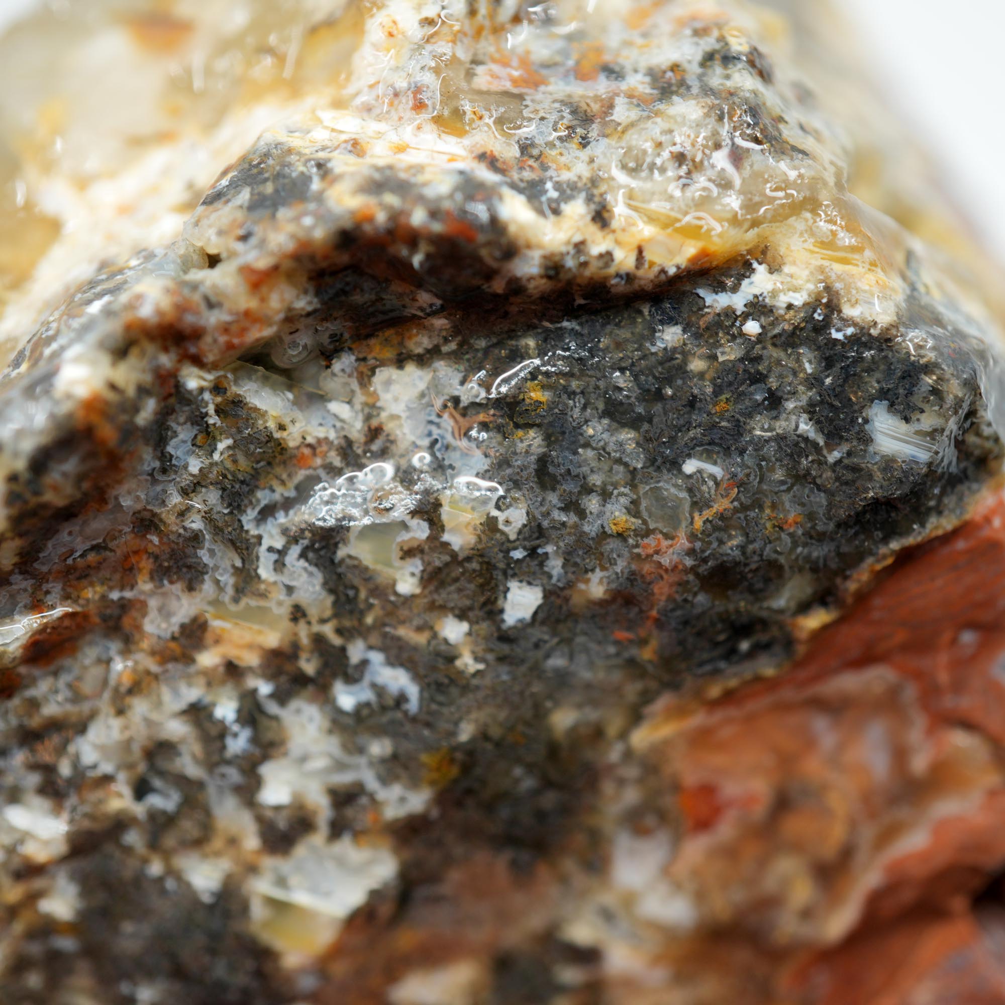 Eagle Rock Plume Agate Rough - Black Marcasite Plume with Botryoidal