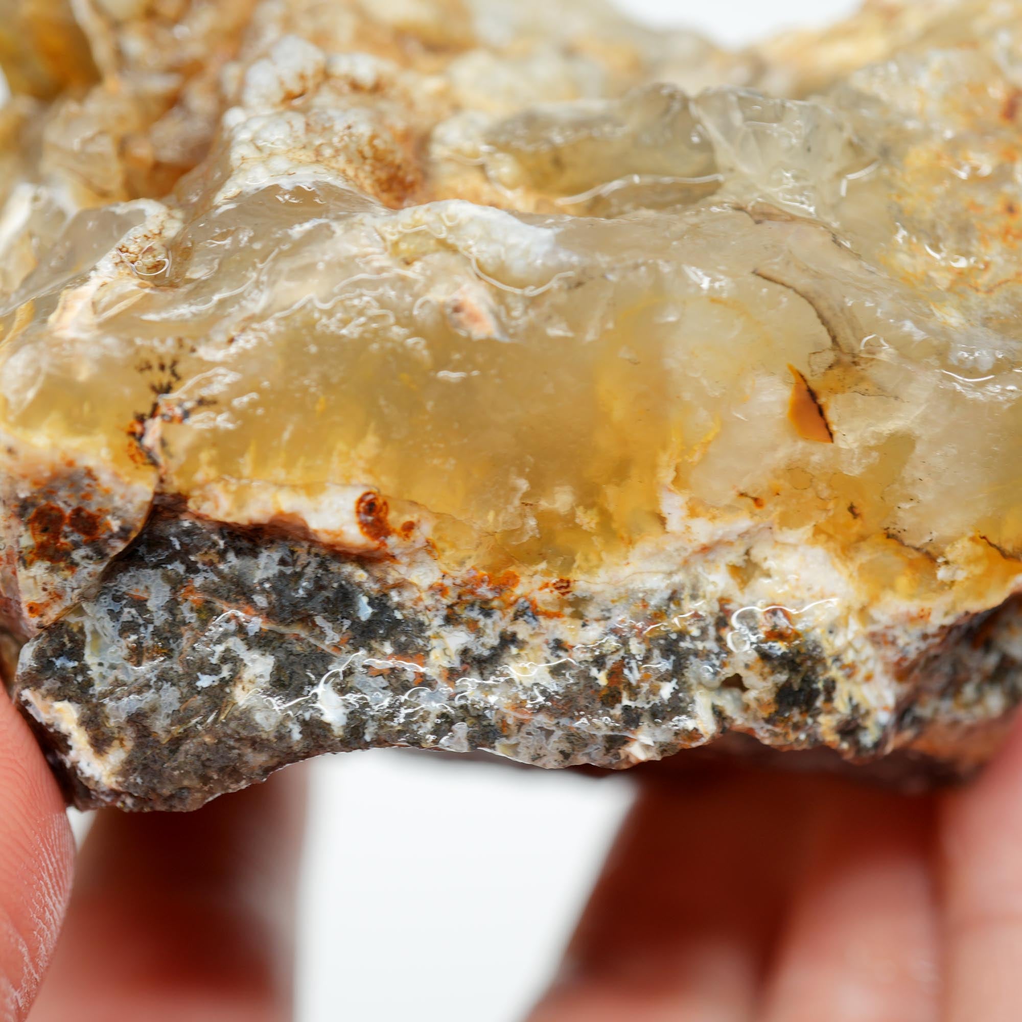 Eagle Rock Plume Agate Rough - Black Marcasite Plume with Botryoidal