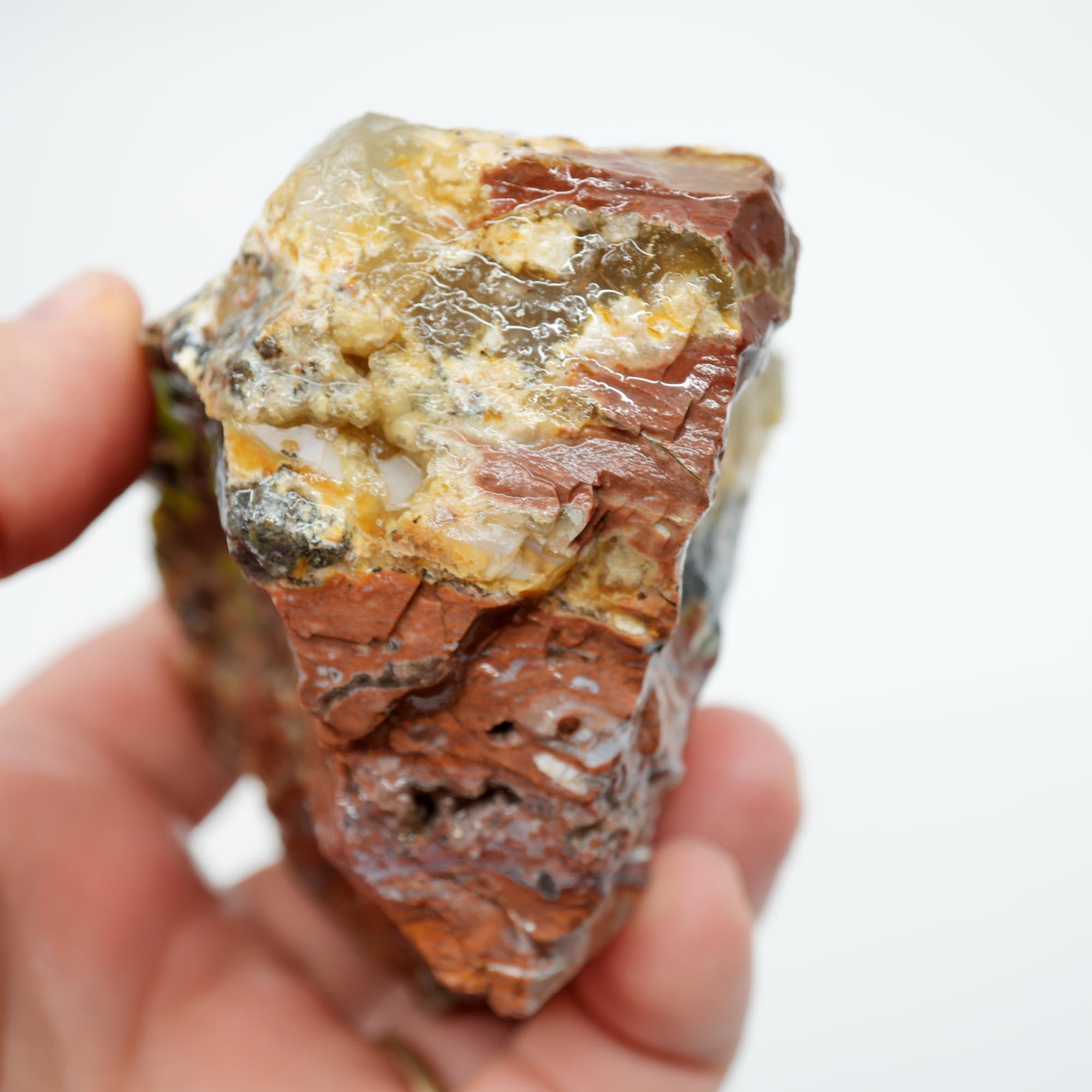 Eagle Rock Plume Agate Rough - Black Marcasite Plume with Botryoidal