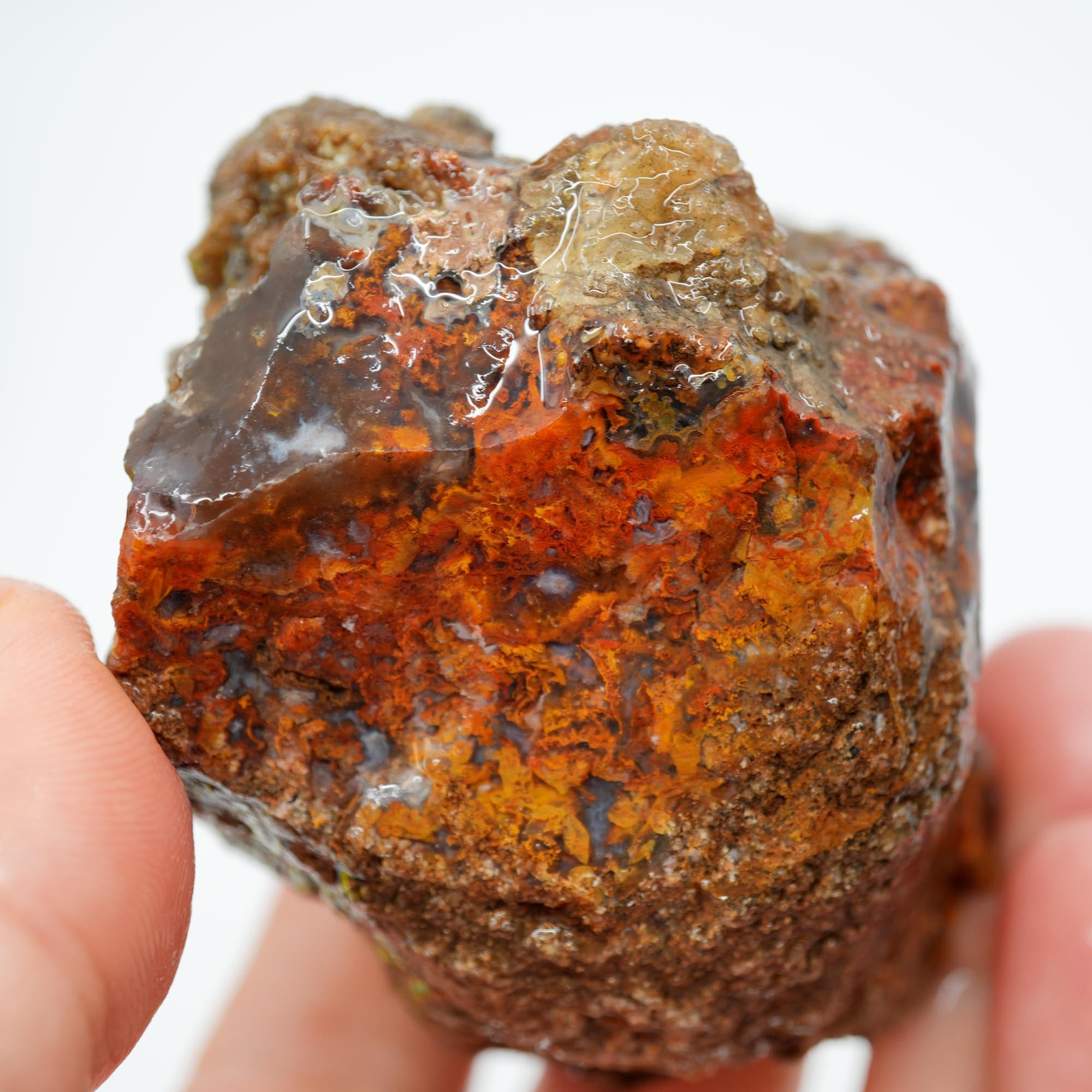 San Carlos Agate Rough - Bright Red Orange Translucent Trimmer