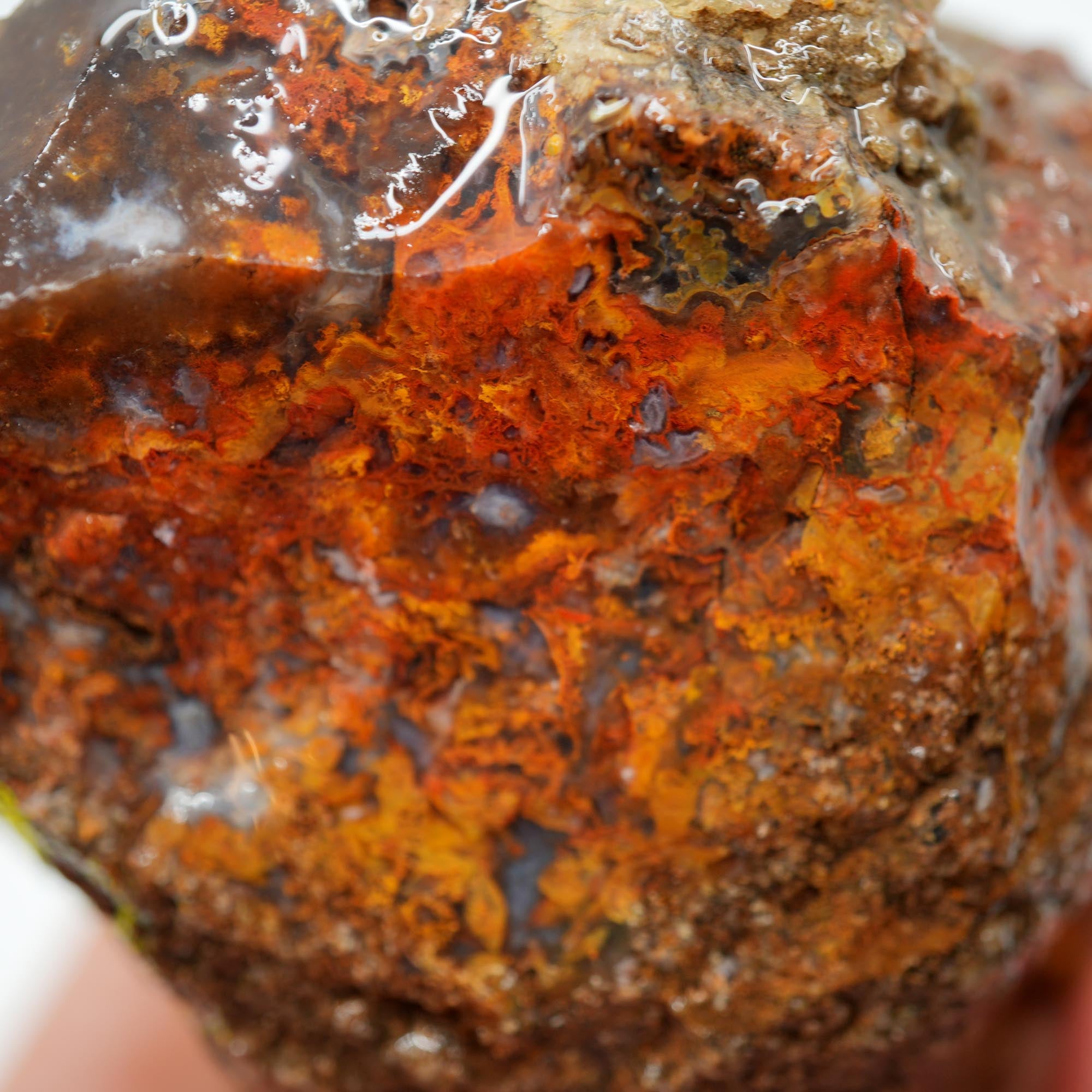 San Carlos Agate Rough - Bright Red Orange Translucent Trimmer