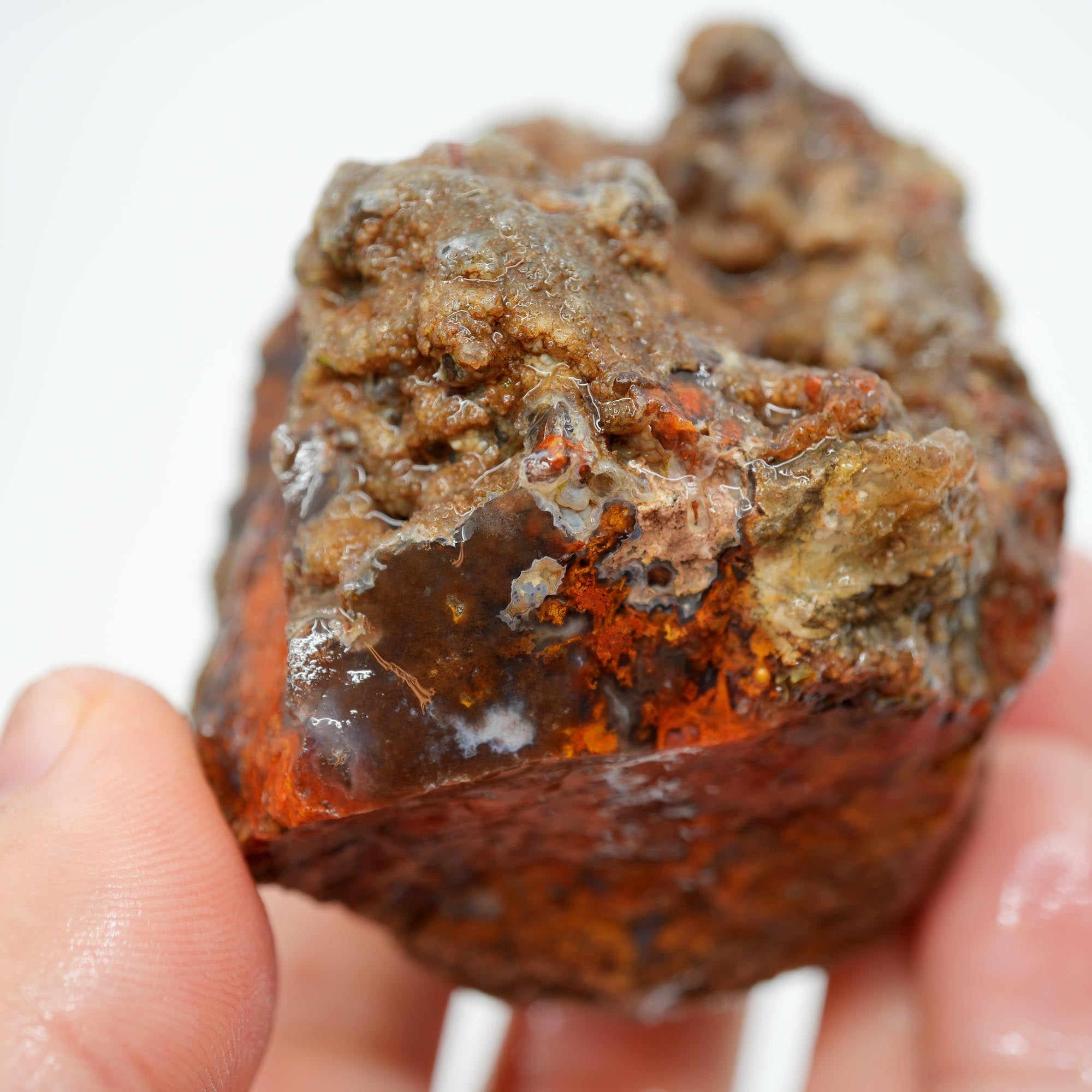 San Carlos Agate Rough - Bright Red Orange Translucent Trimmer