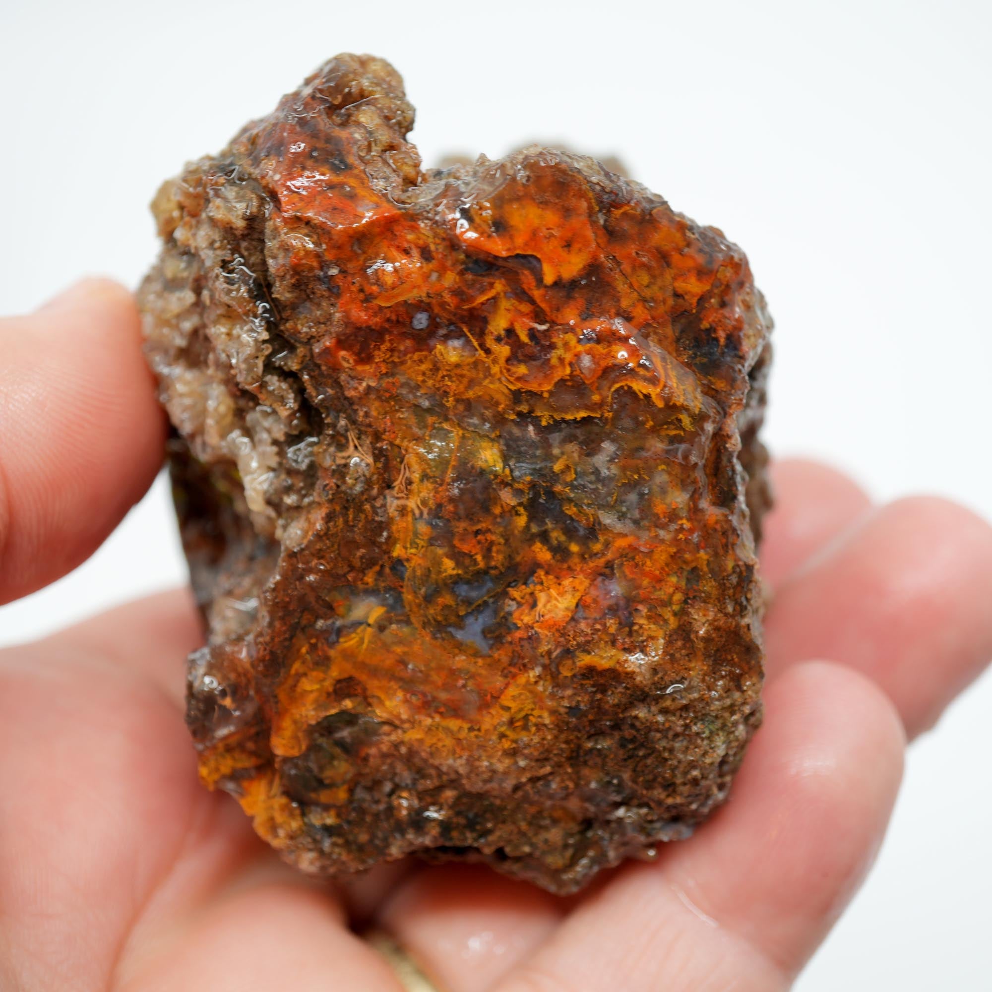 San Carlos Agate Rough - Bright Red Orange Translucent Trimmer