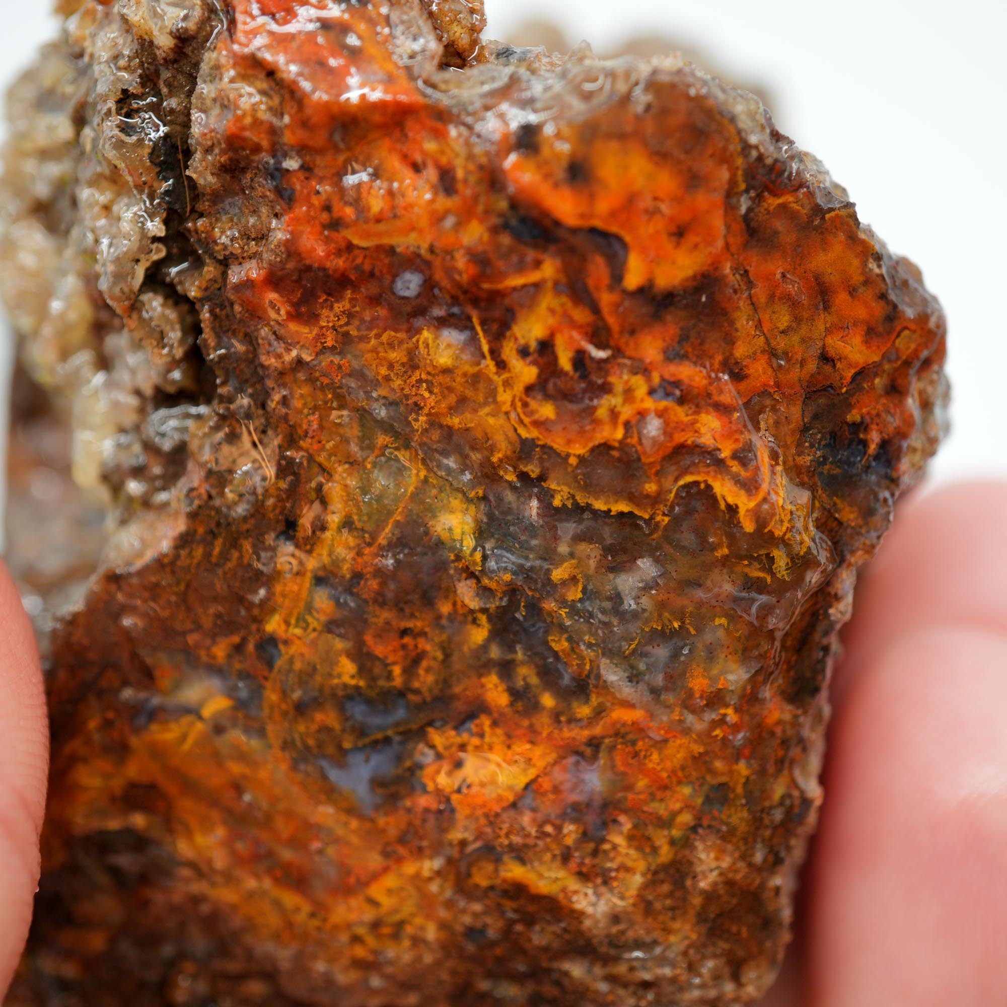 San Carlos Agate Rough - Bright Red Orange Translucent Trimmer
