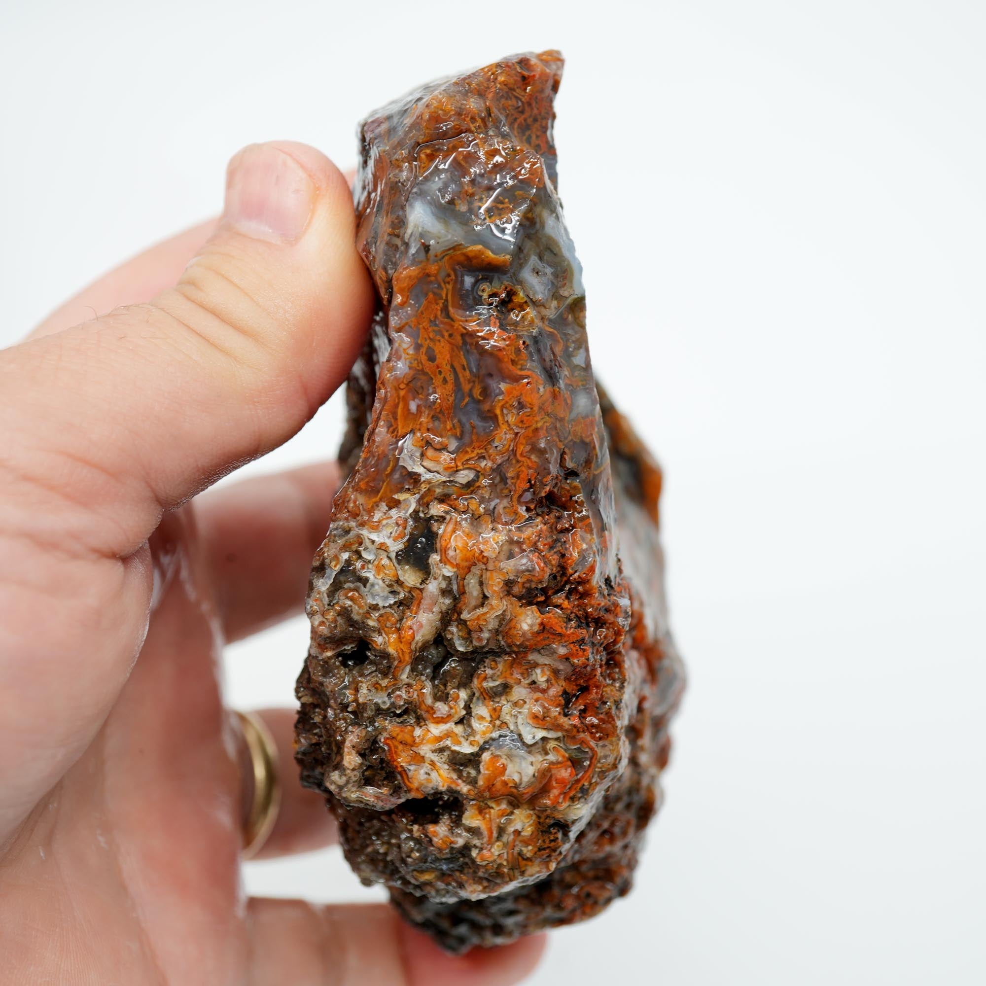 San Carlos Agate Rough - Bright Orange on Dark Agate with Botryoidal