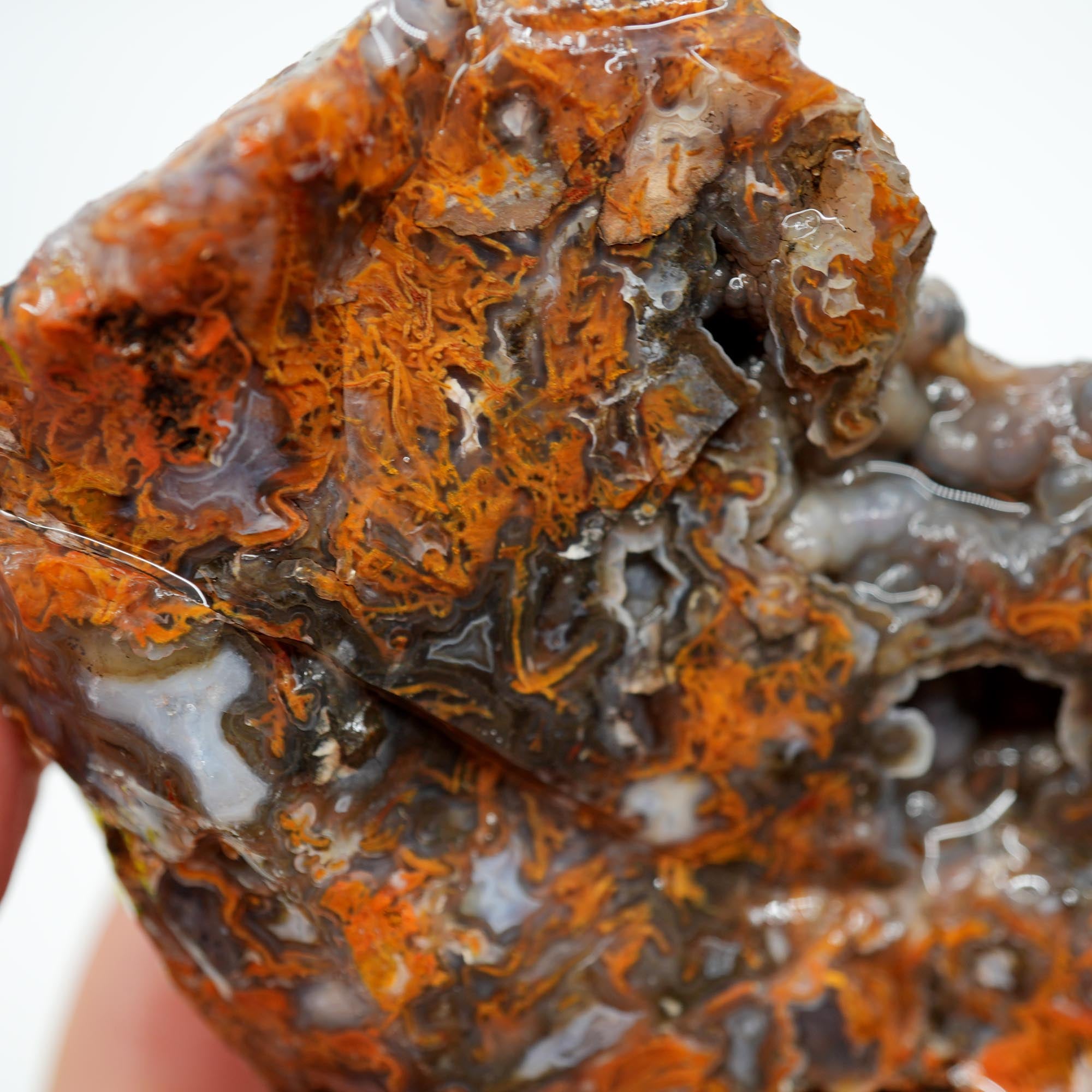 San Carlos Agate Rough - Bright Orange on Dark Agate with Botryoidal