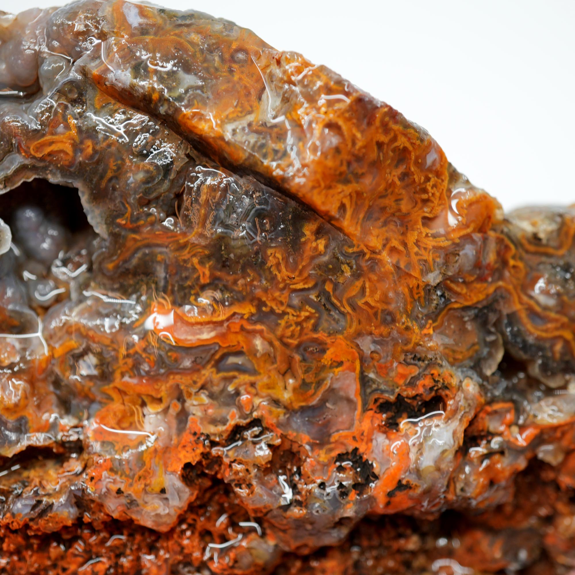 San Carlos Agate Rough - Bright Orange on Dark Agate with Botryoidal