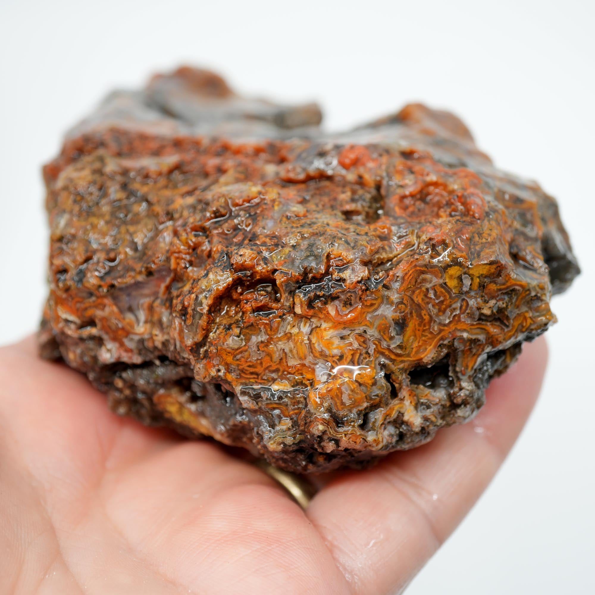 San Carlos Agate Rough - Bright Orange on Dark Agate with Botryoidal