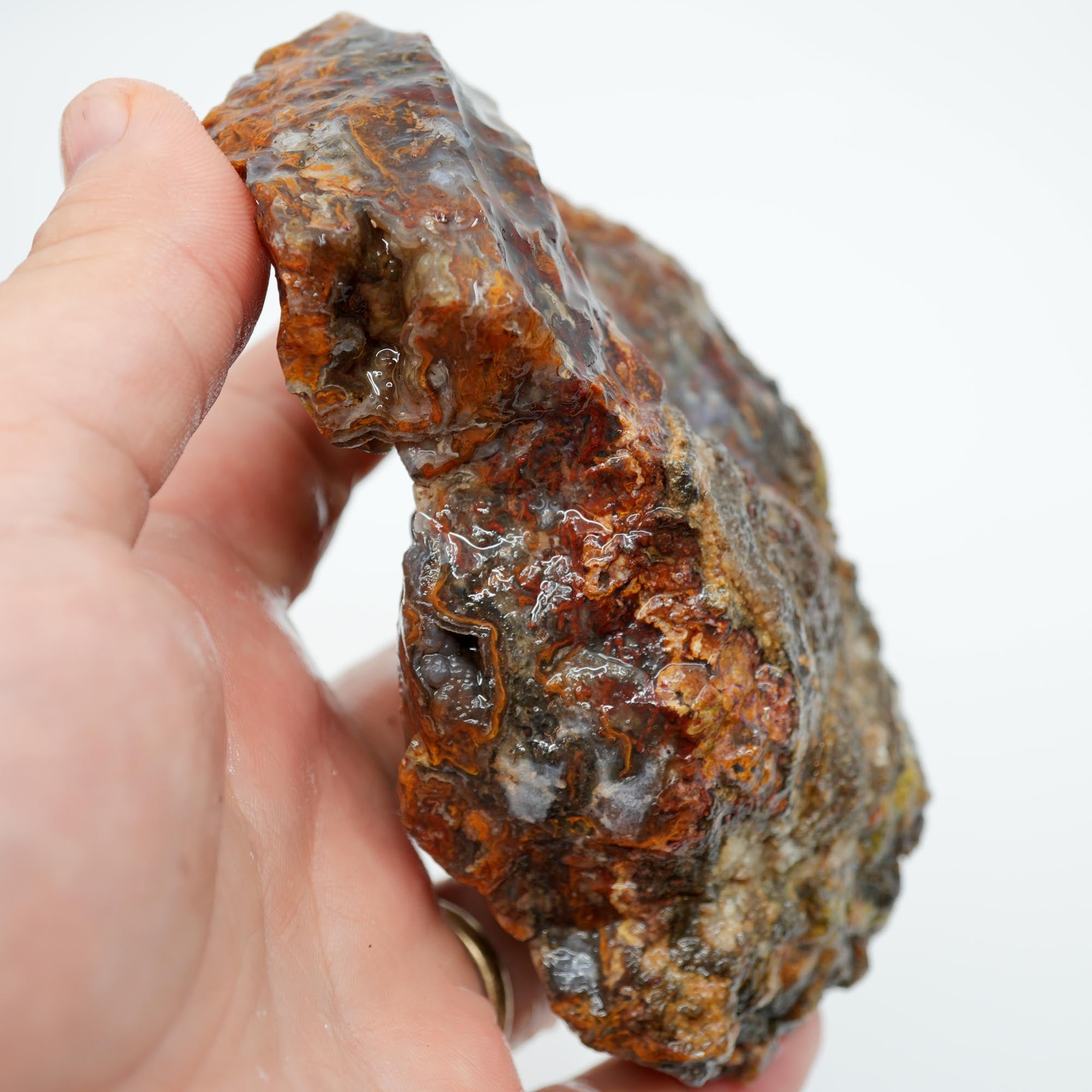 San Carlos Agate Rough - Bright Orange on Dark Agate with Botryoidal