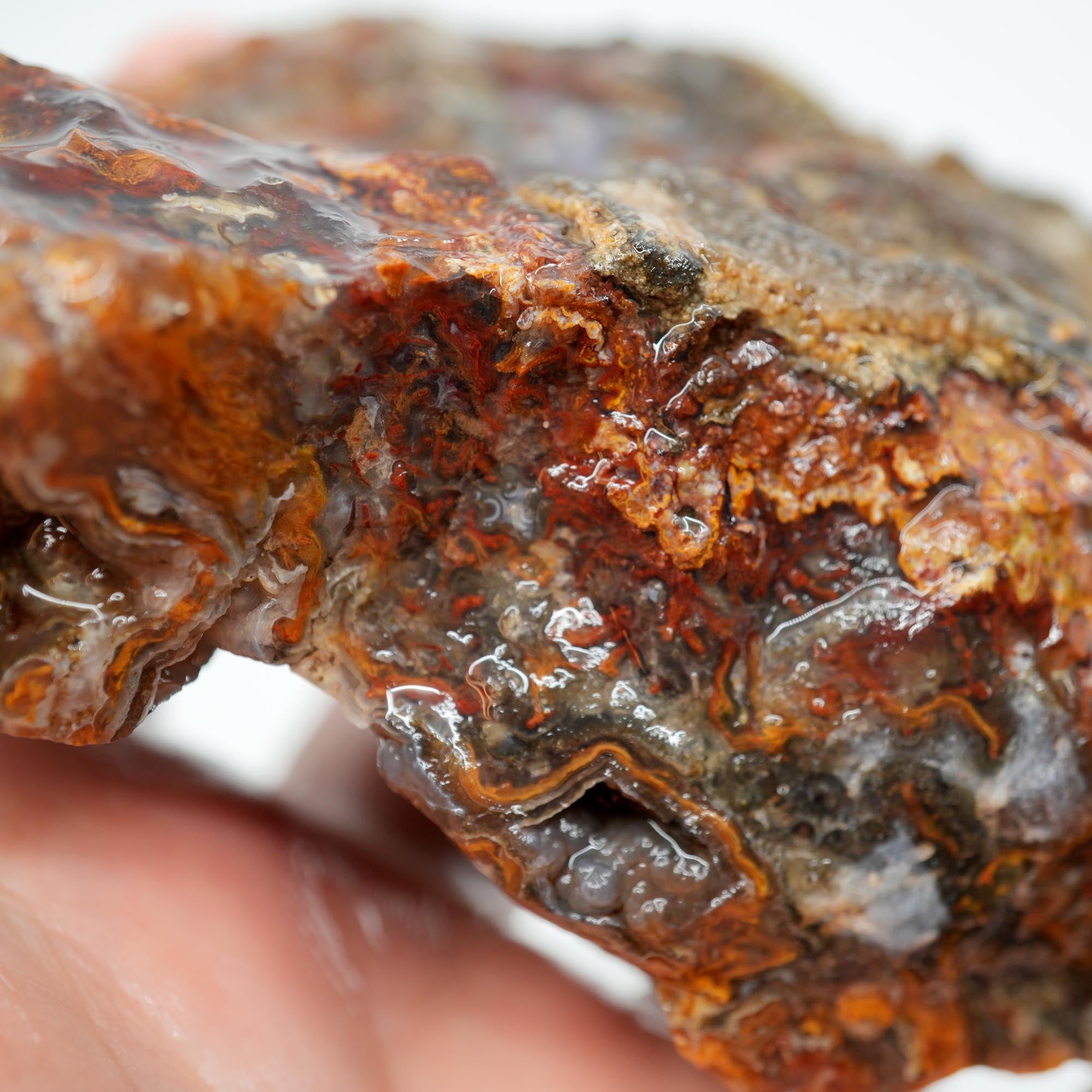 San Carlos Agate Rough - Bright Orange on Dark Agate with Botryoidal