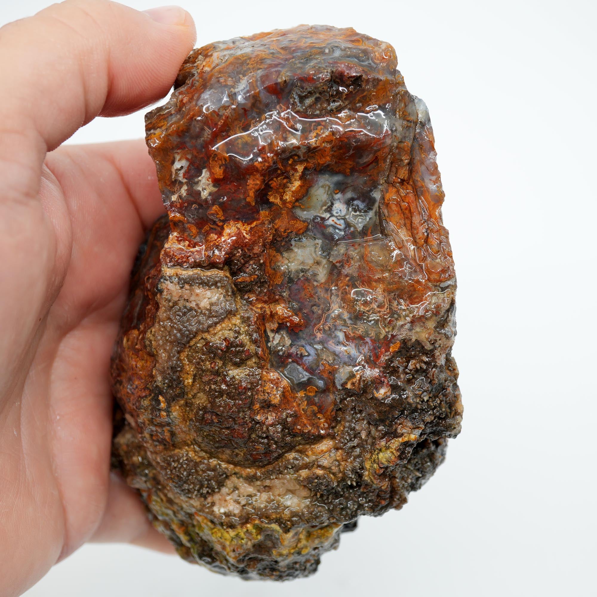 San Carlos Agate Rough - Bright Orange on Dark Agate with Botryoidal