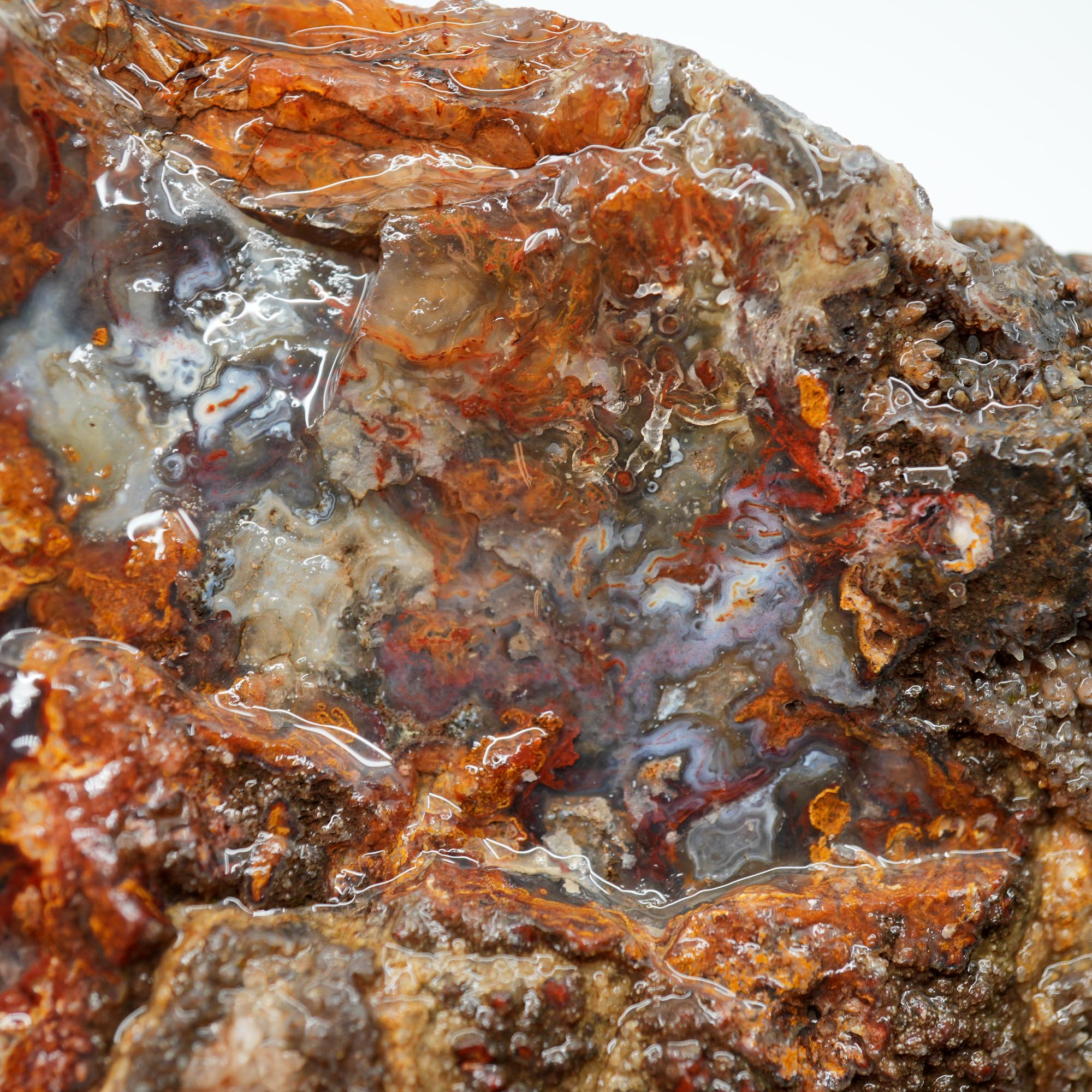 San Carlos Agate Rough - Bright Orange on Dark Agate with Botryoidal