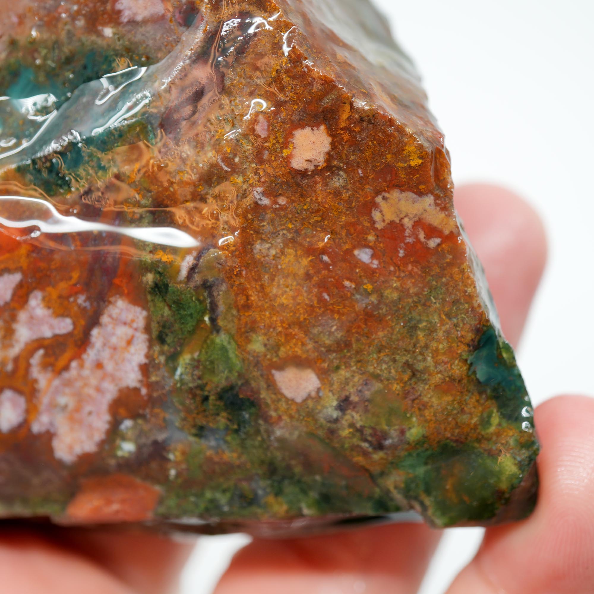 India Bloodstone Rough - Green with Light Pink and Red - Palm Stone Ready